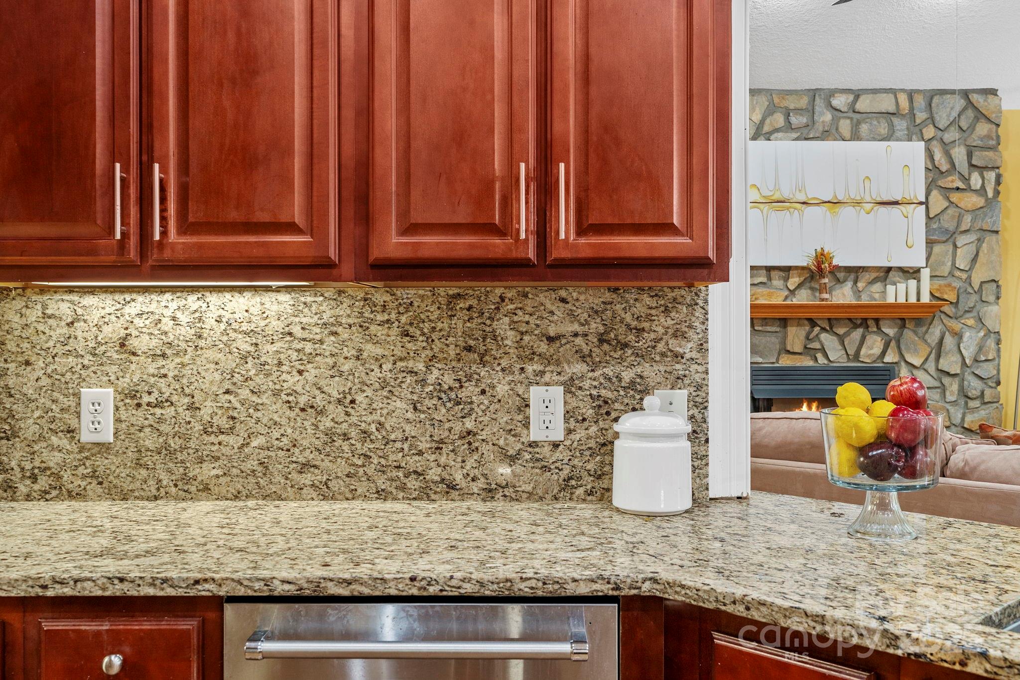 458 Blue Mist Way Property Photo 16
