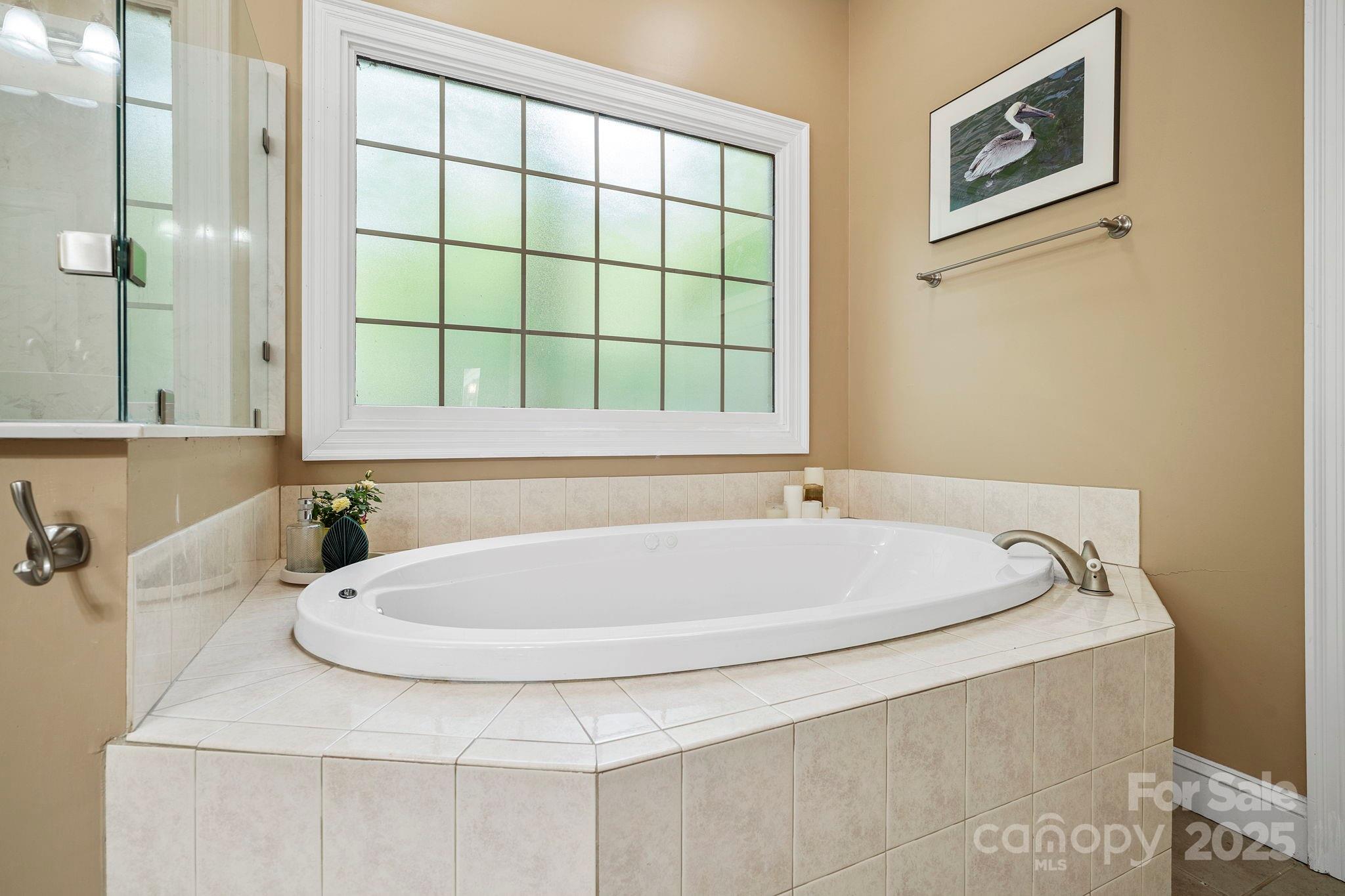 458 Blue Mist Way Property Photo 25