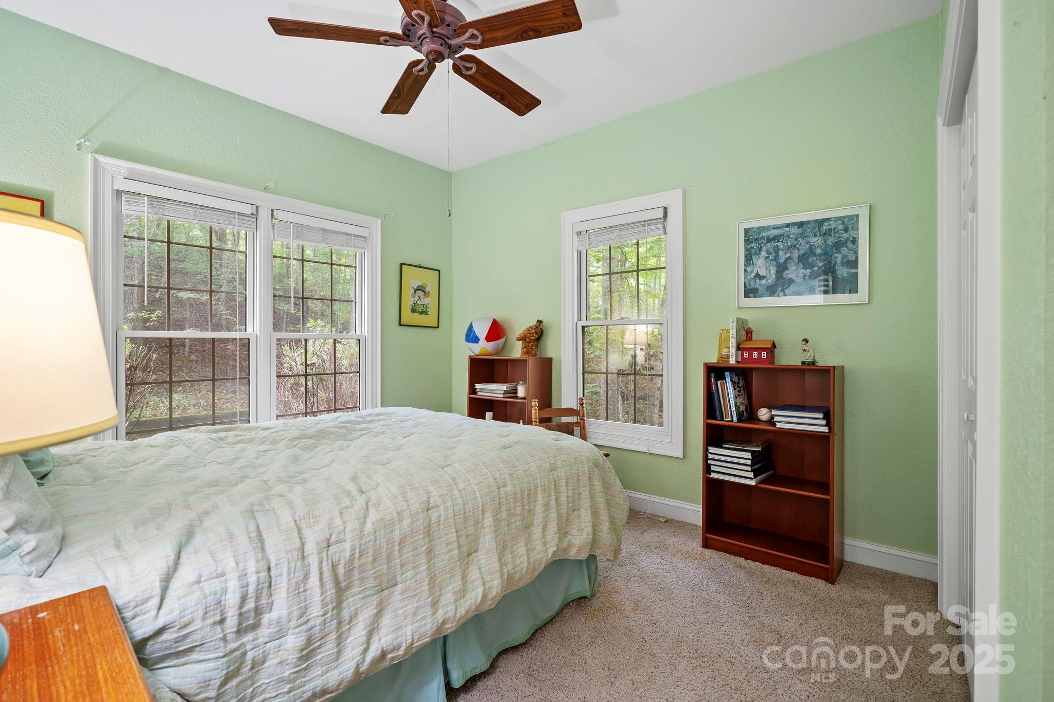 458 Blue Mist Way Property Photo 31