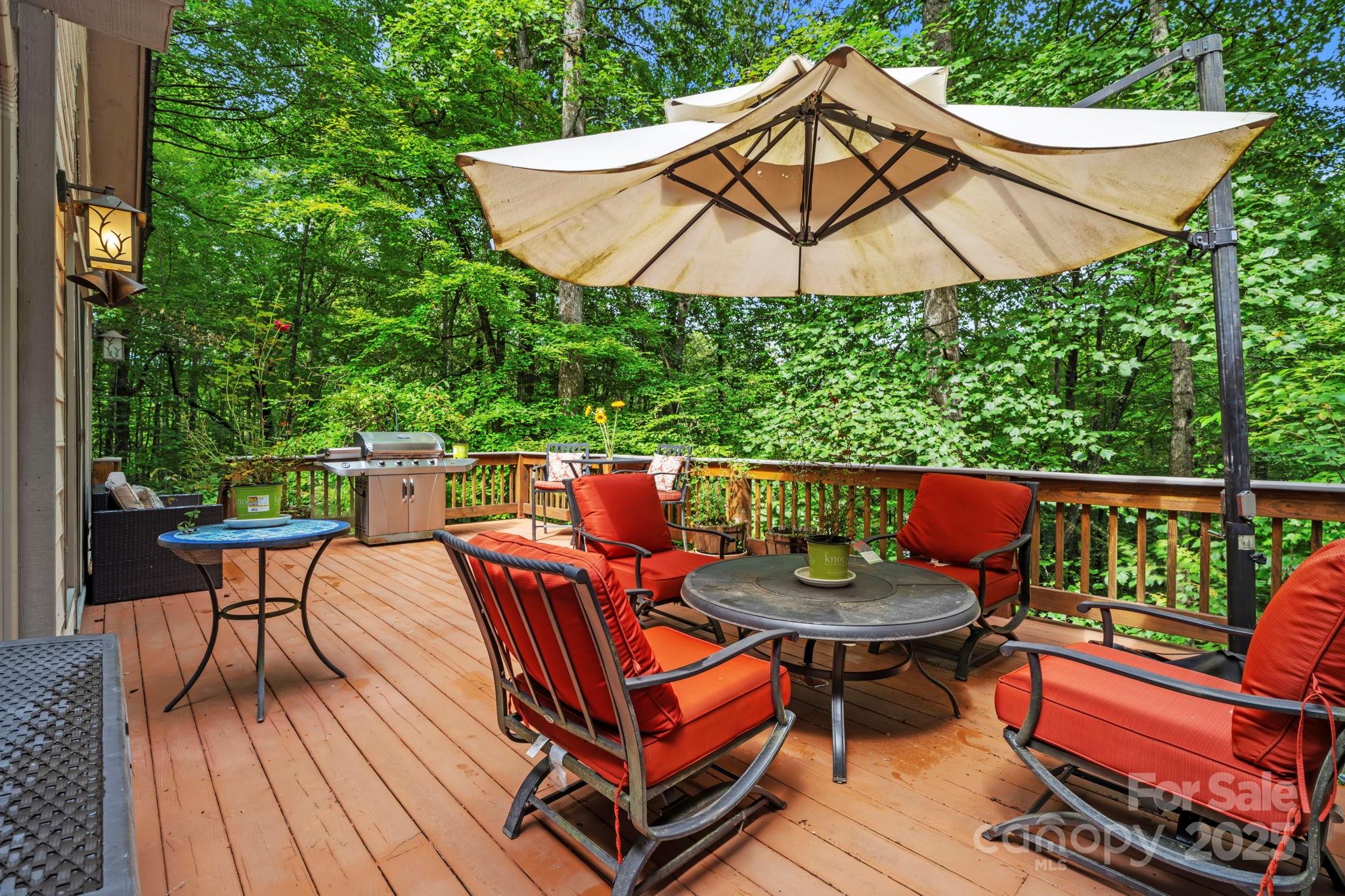 458 Blue Mist Way Property Photo 37