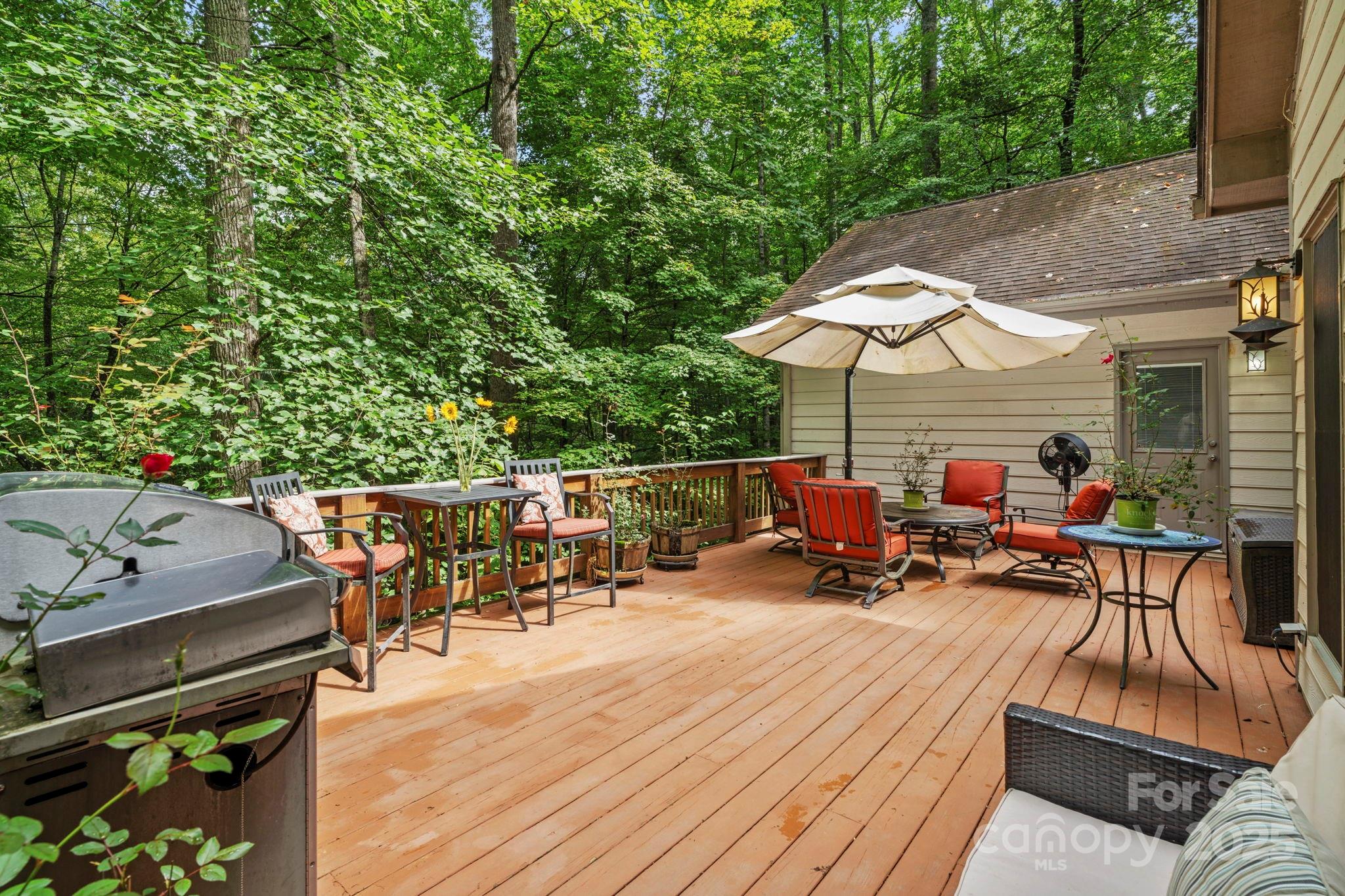 458 Blue Mist Way Property Photo 38