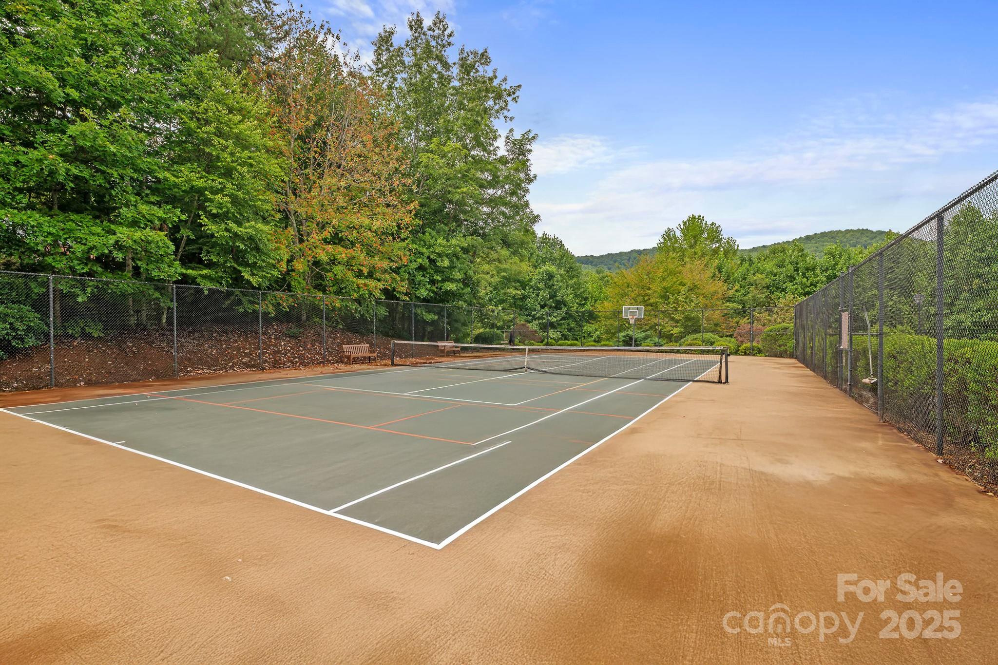 458 Blue Mist Way Property Photo 45