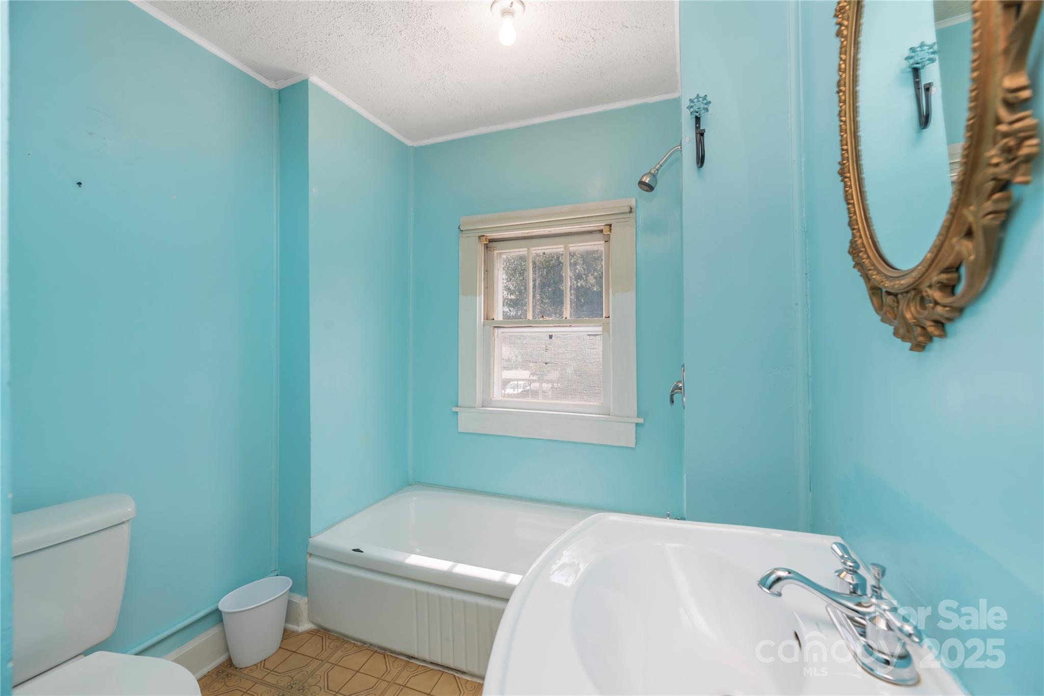 589 Pisgah Drive Property Photo 19