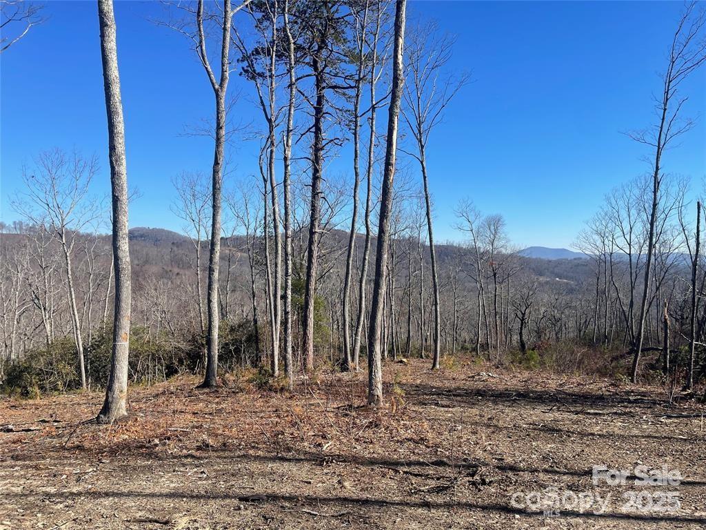 Lot 59 Mountain Grove Lane Property Photo 1