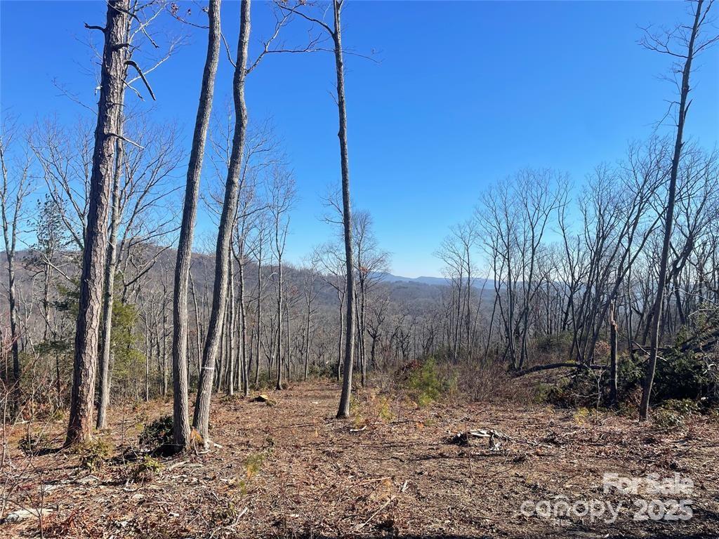 Lot 59 Mountain Grove Lane Property Photo 2