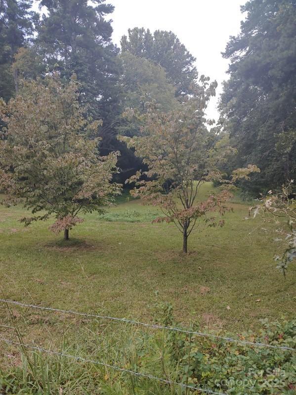 12514 Idlewild Road Property Photo 1