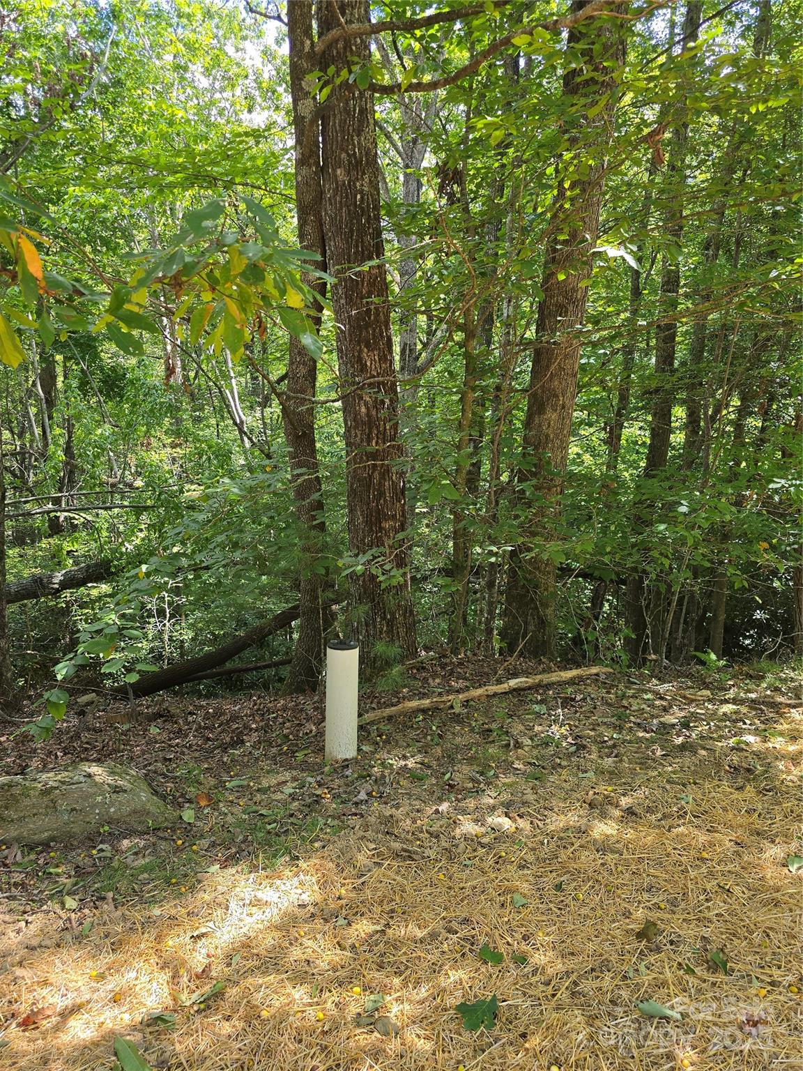 11 Reserve Road Property Photo 12