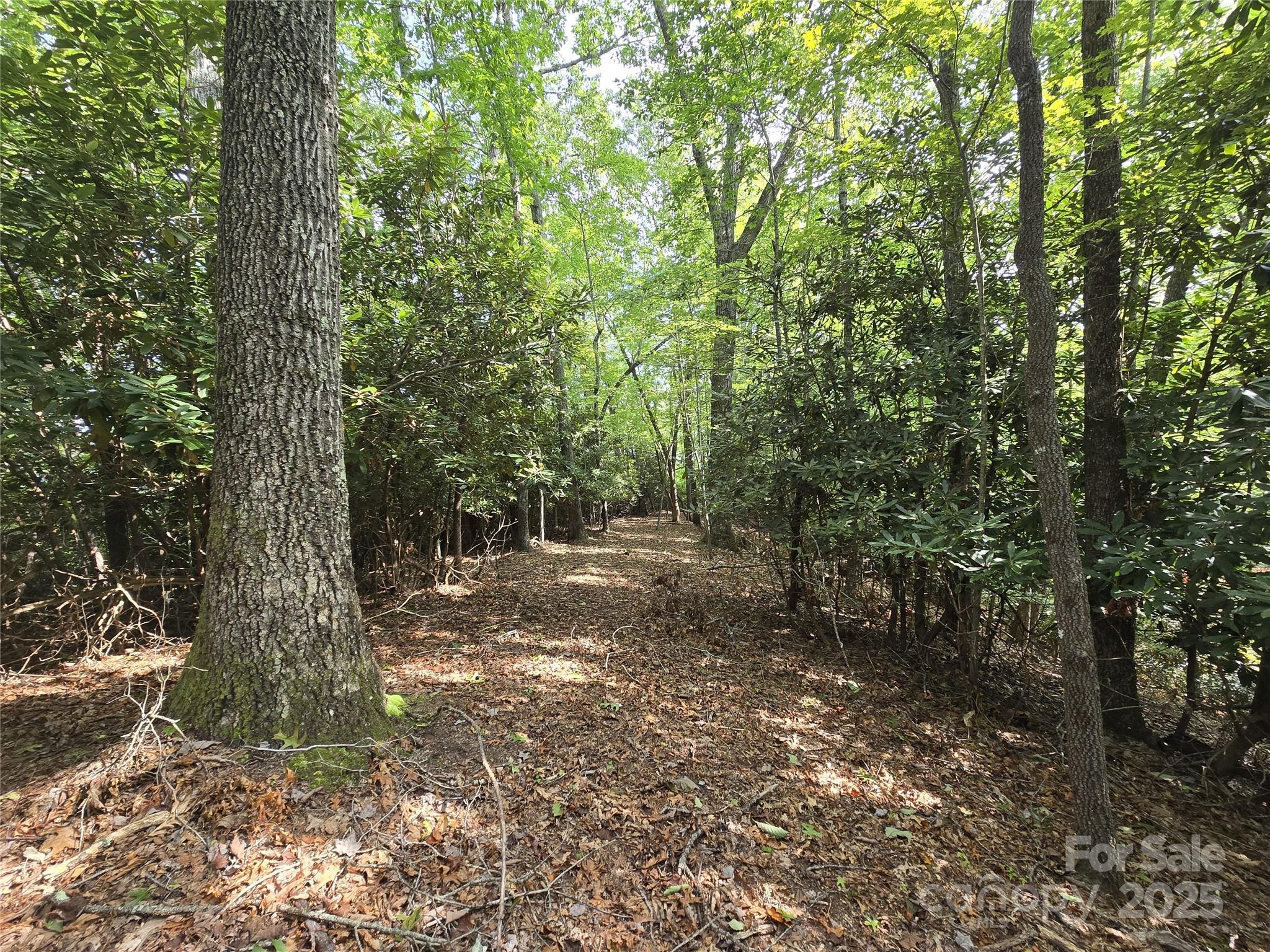 11 Reserve Road Property Photo 13