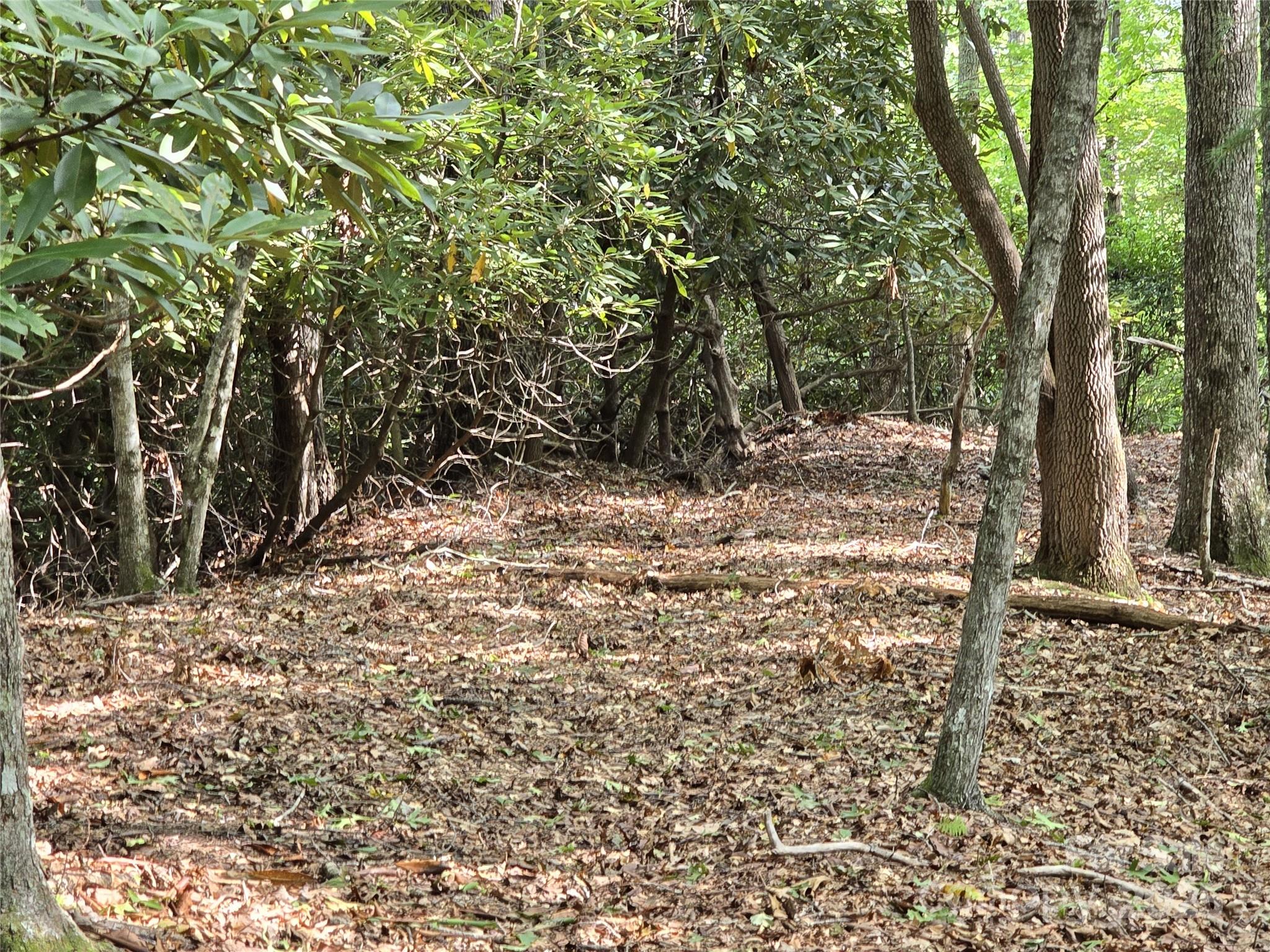 11 Reserve Road Property Photo 14