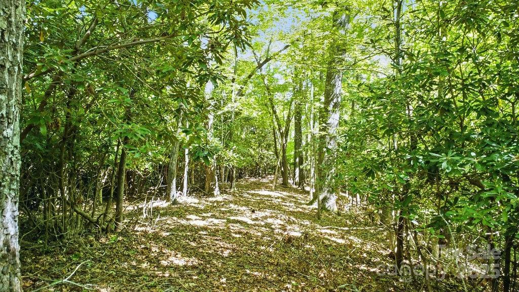 11 Reserve Road Property Photo 16