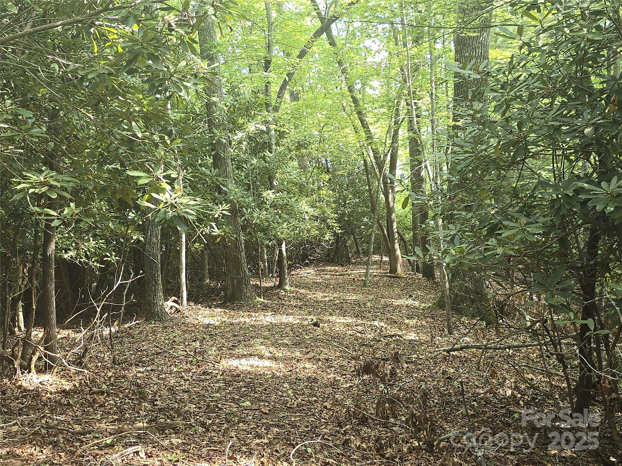 11 Reserve Road Property Photo 20