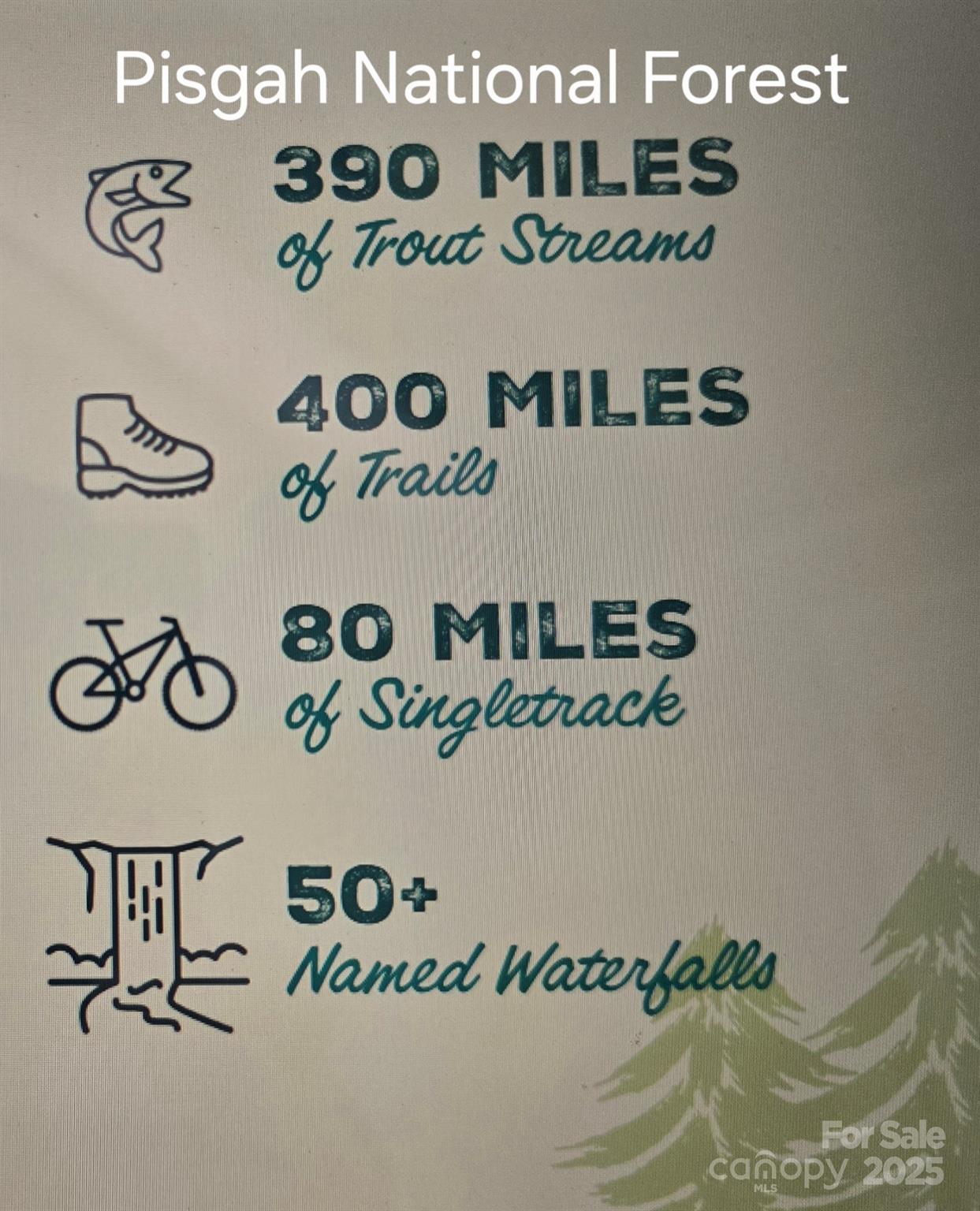 11 Reserve Road Property Photo 31