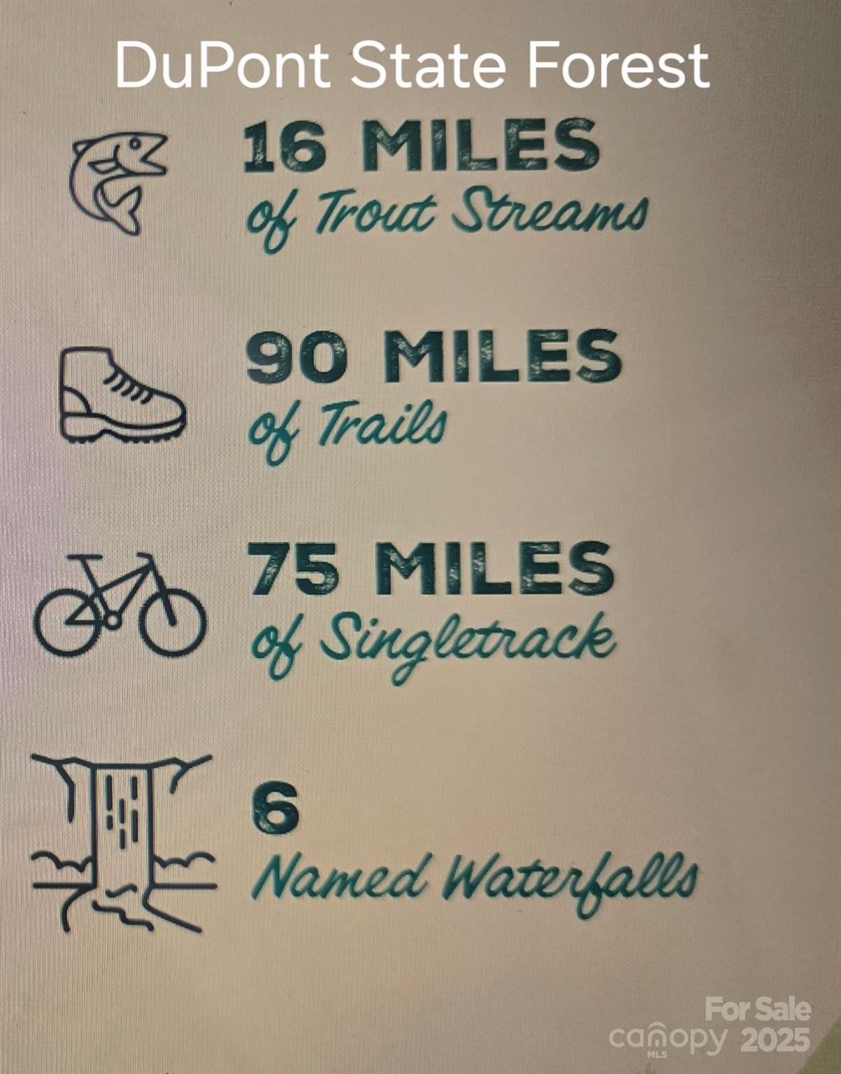 11 Reserve Road Property Photo 33