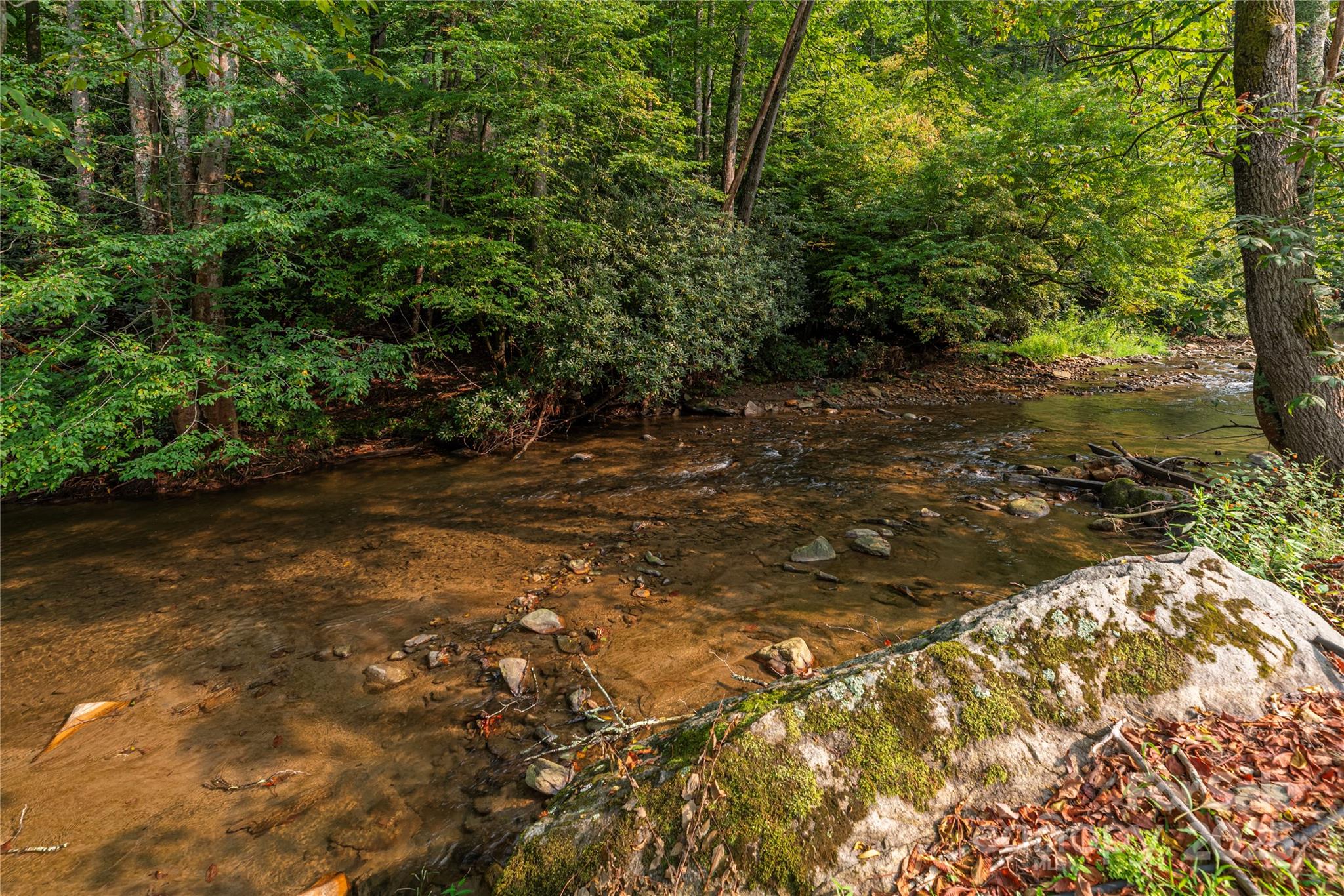 9781 Nc 209 Highway Property Photo 34