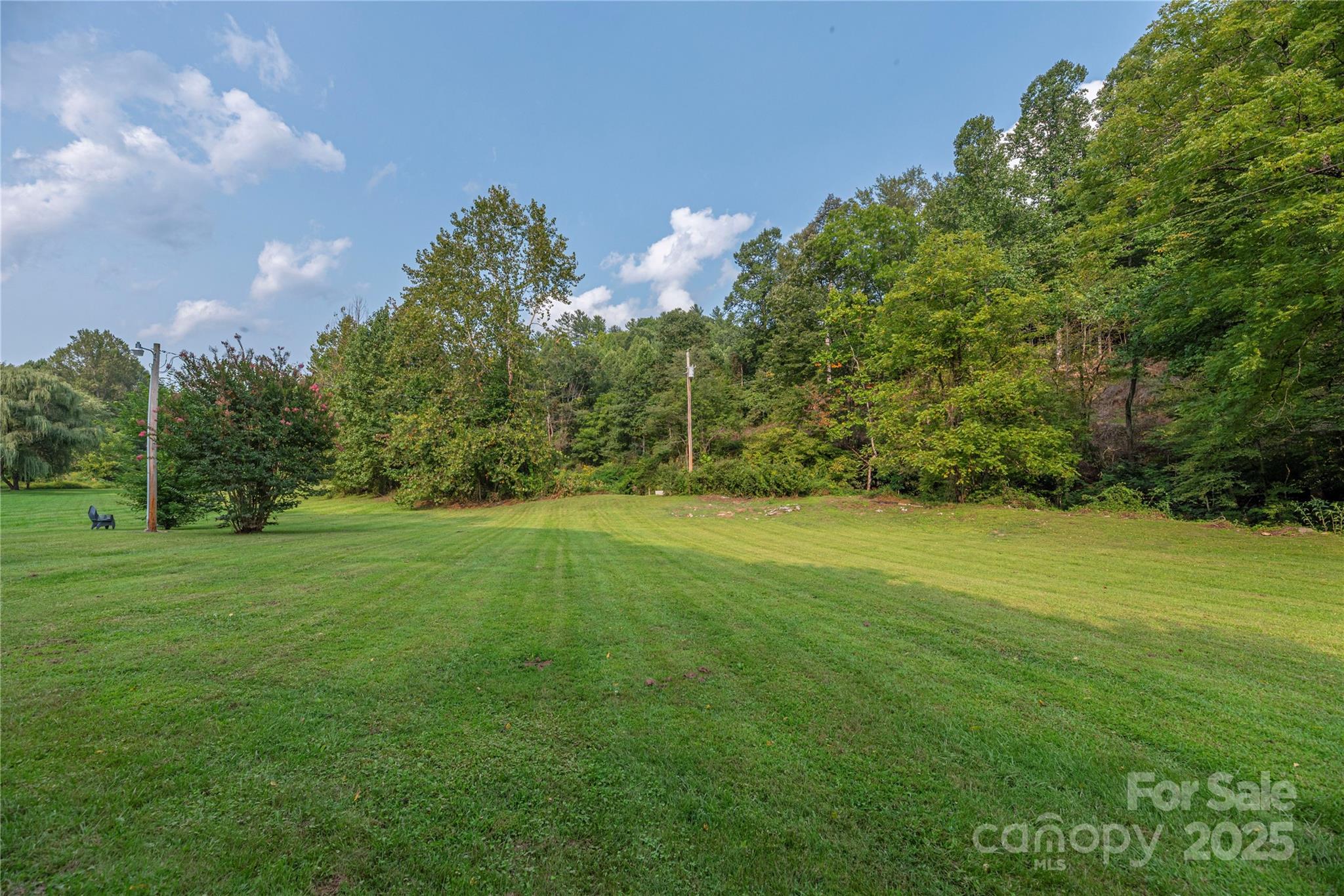 9781 Nc 209 Highway Property Photo 36