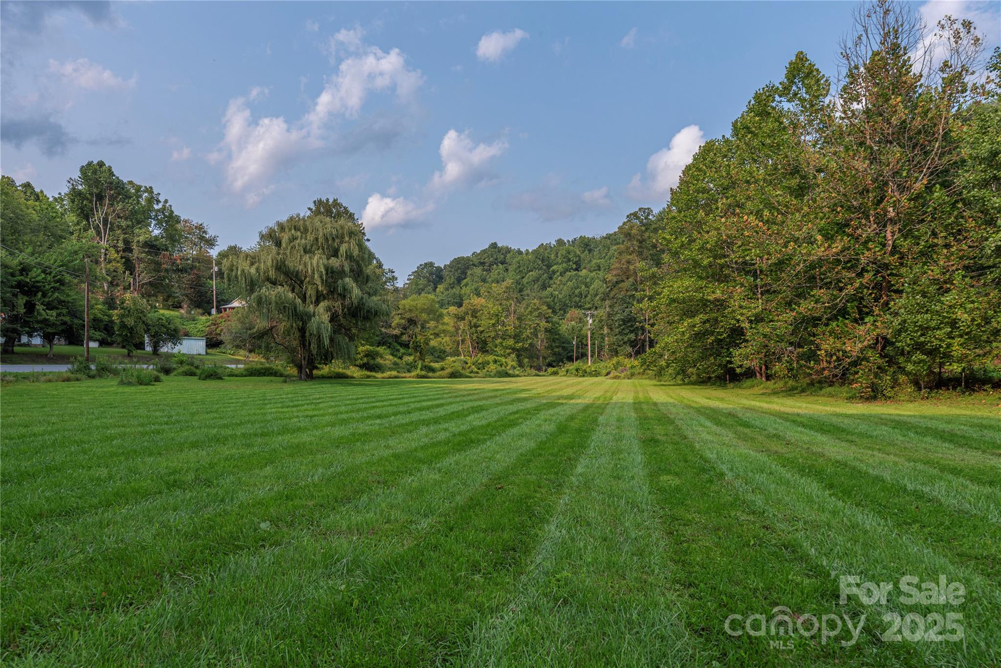 9781 Nc 209 Highway Property Photo 39