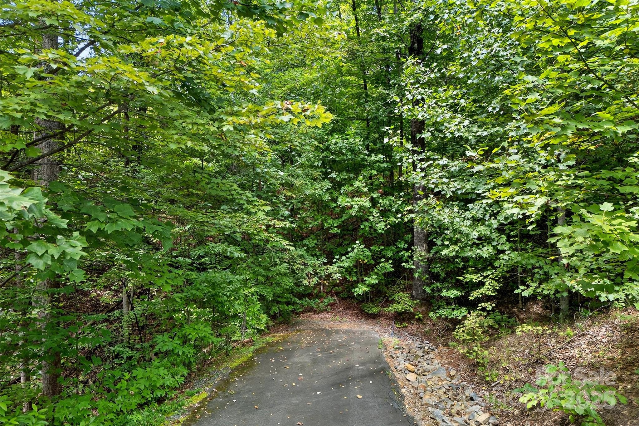 100 Comet Falls Trail 235 Property Photo 1
