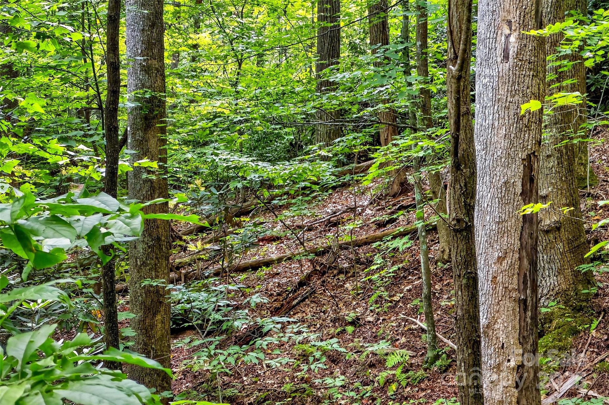 100 Comet Falls Trail 235 Property Photo 2