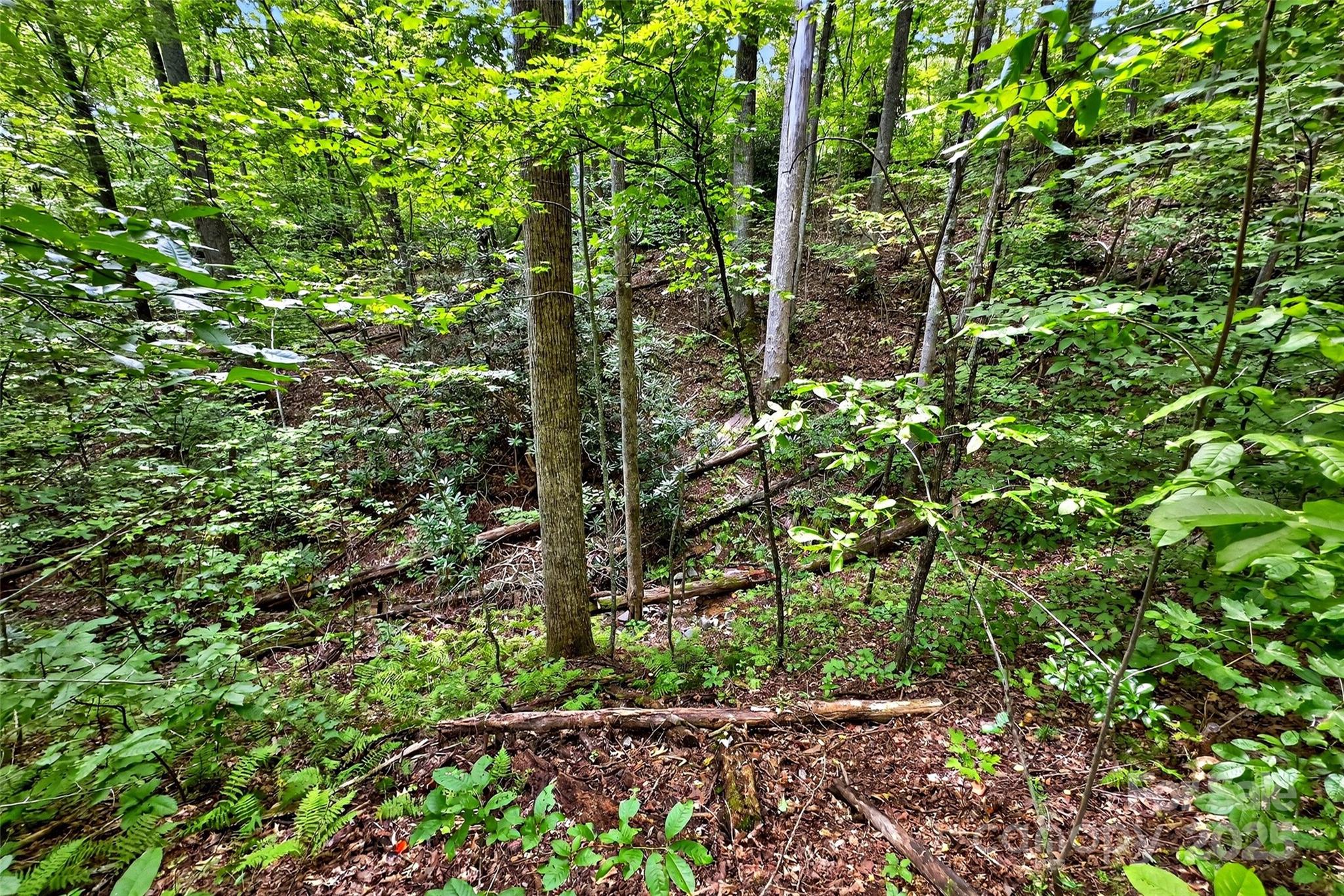 100 Comet Falls Trail 235 Property Photo 3