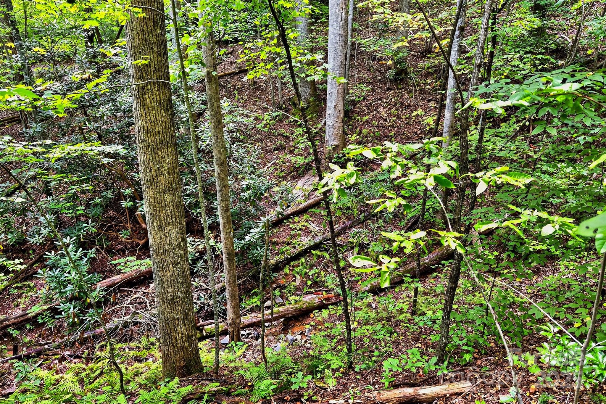 100 Comet Falls Trail 235 Property Photo 4