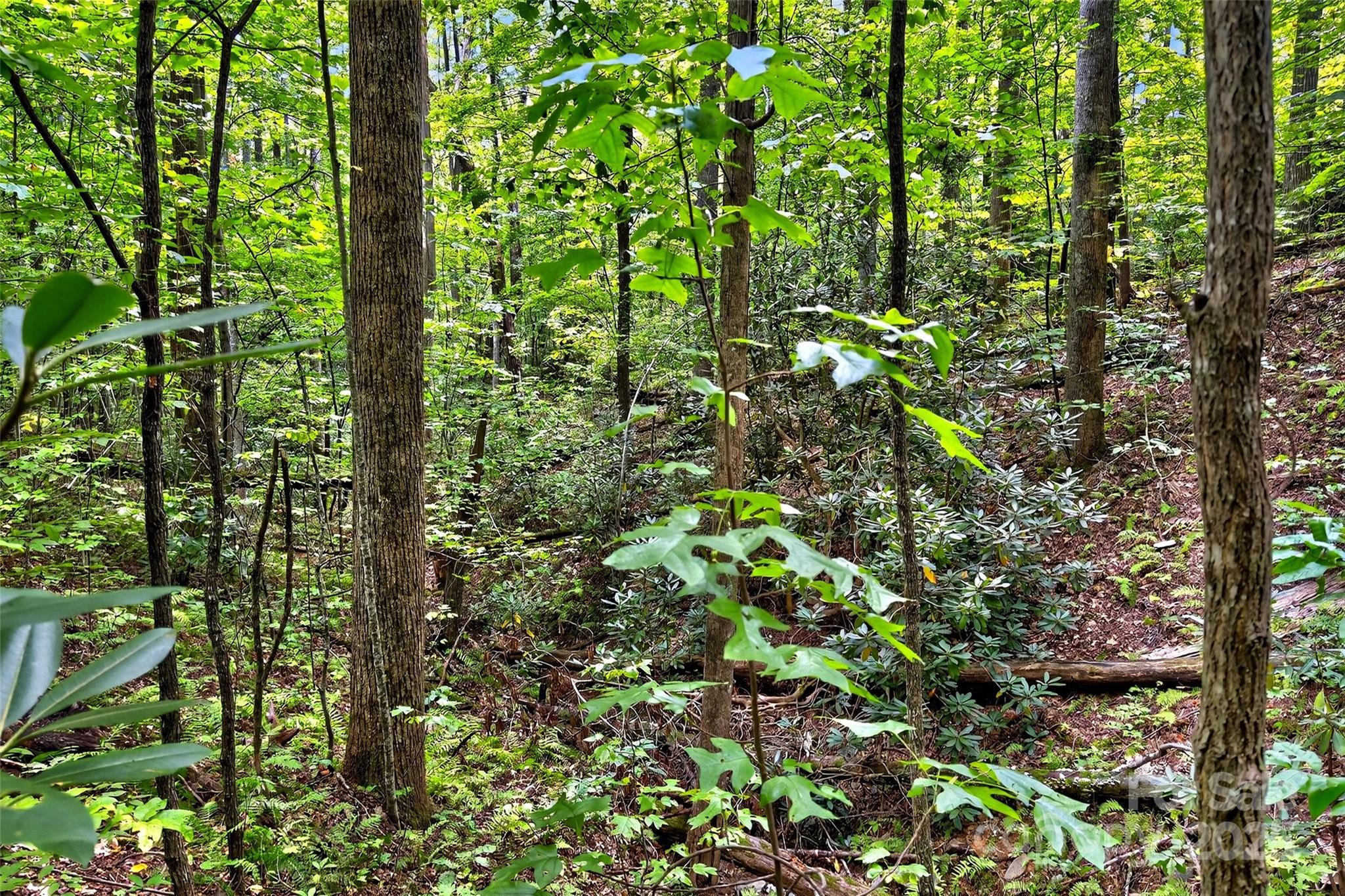 100 Comet Falls Trail 235 Property Photo 6