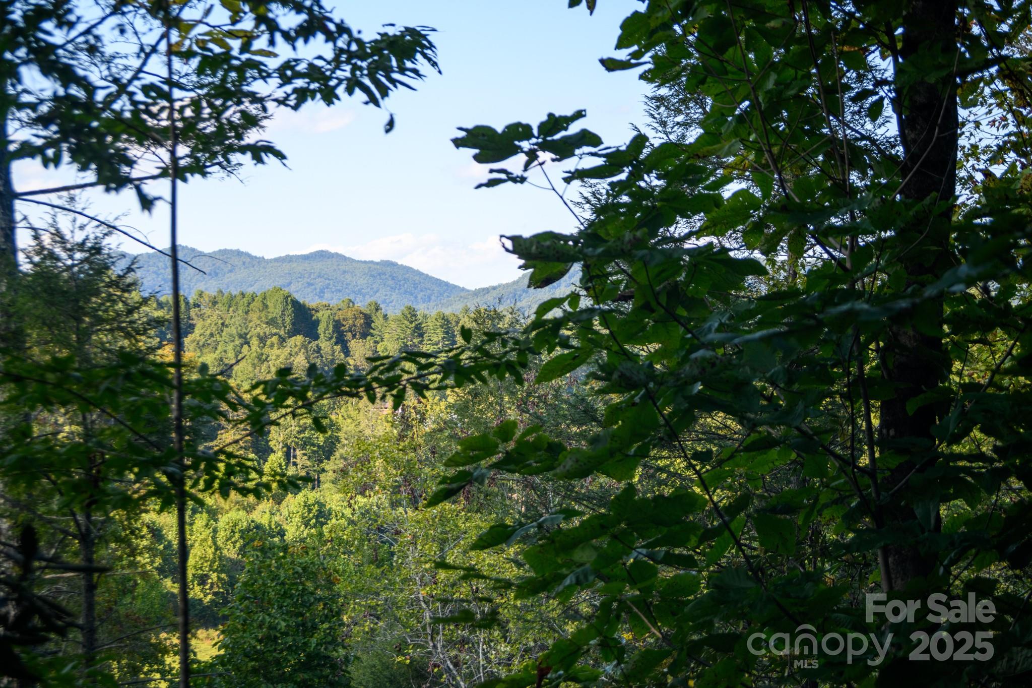 2340 Twin Poplars Lane Property Photo 6