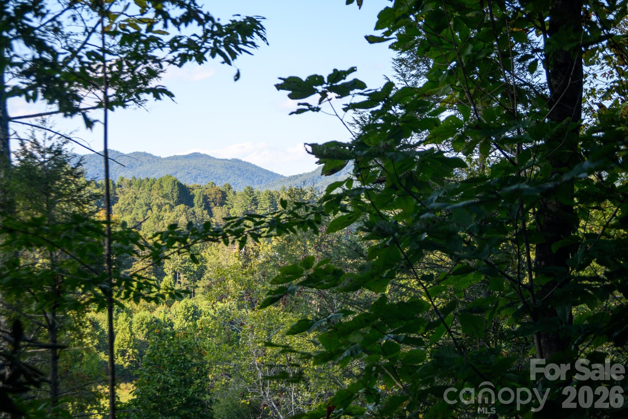 2340 Twin Poplars Lane Property Photo 6