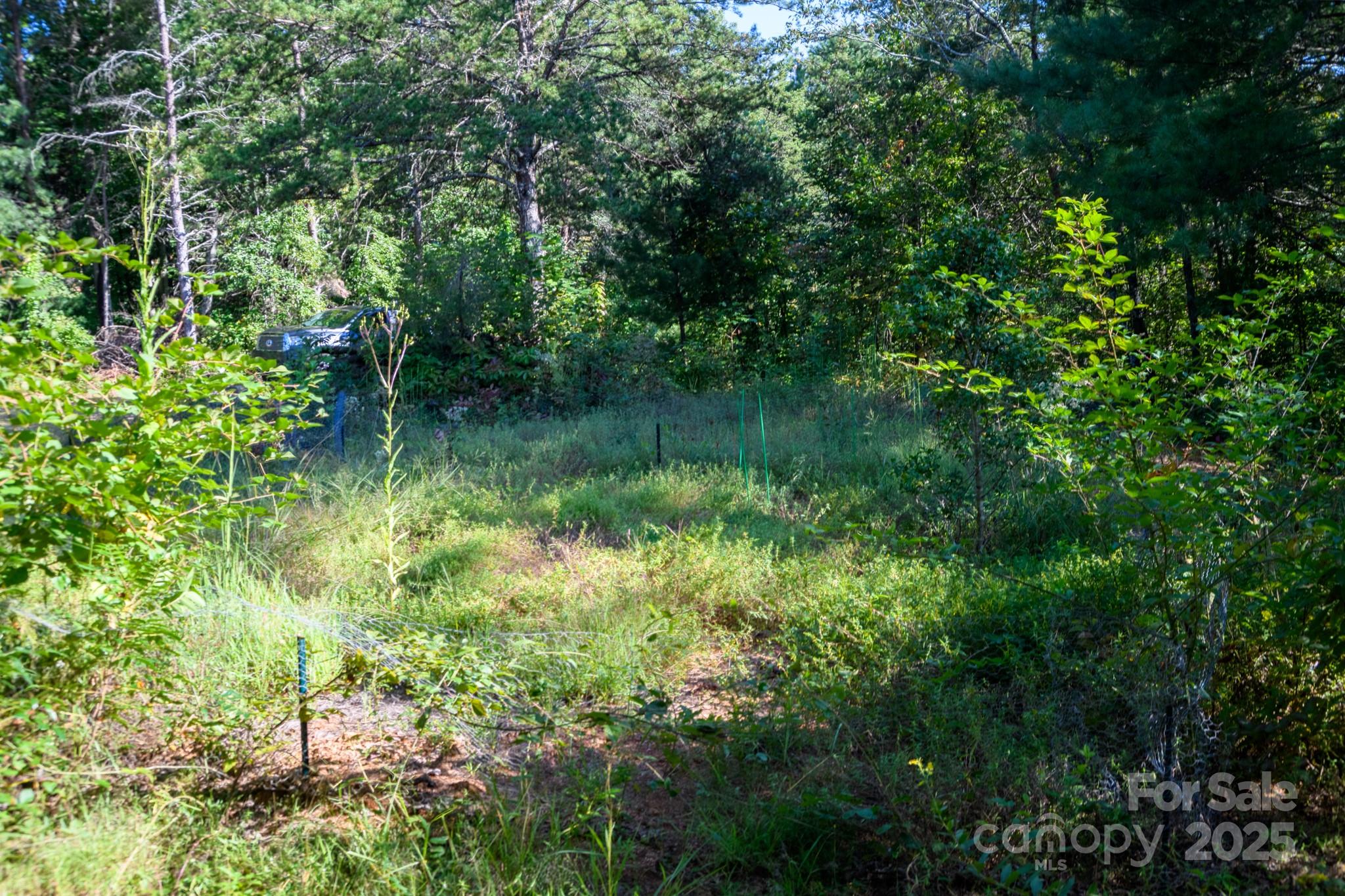 2340 Twin Poplars Lane Property Photo 33