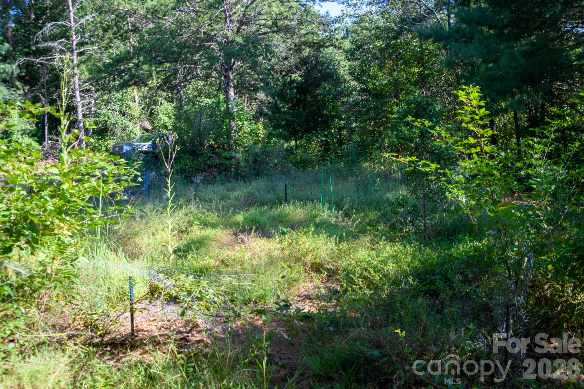 2340 Twin Poplars Lane Property Photo 33