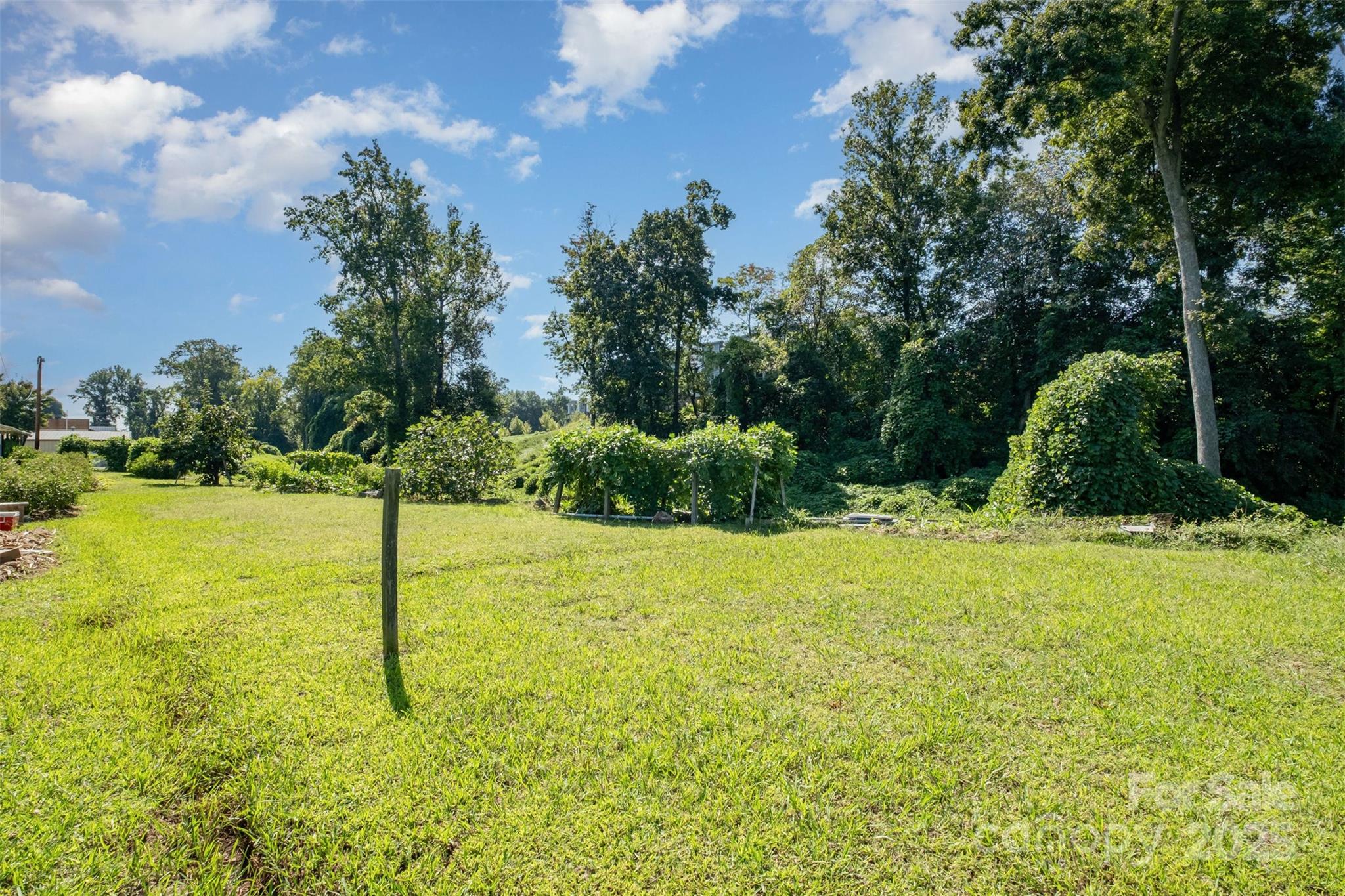 6834 Wilkinson Boulevard Property Photo 23