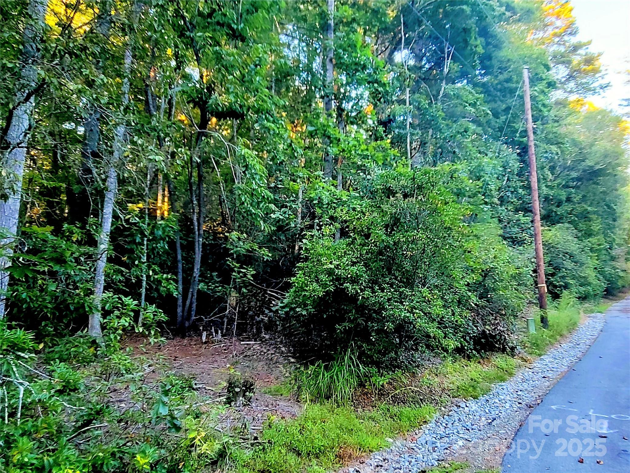 0 Joyful Lane Property Photo 5