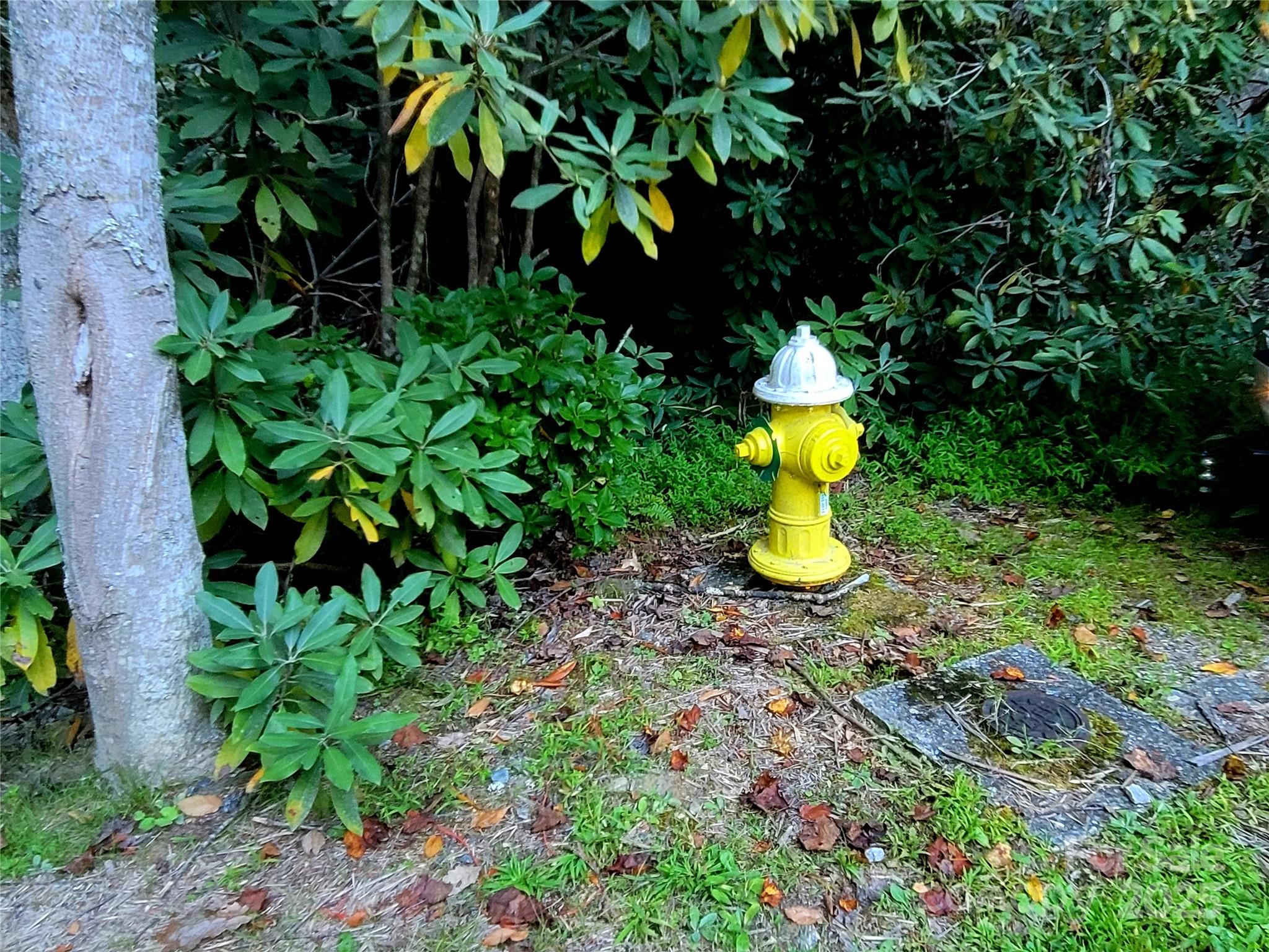 0 Joyful Lane Property Photo 6