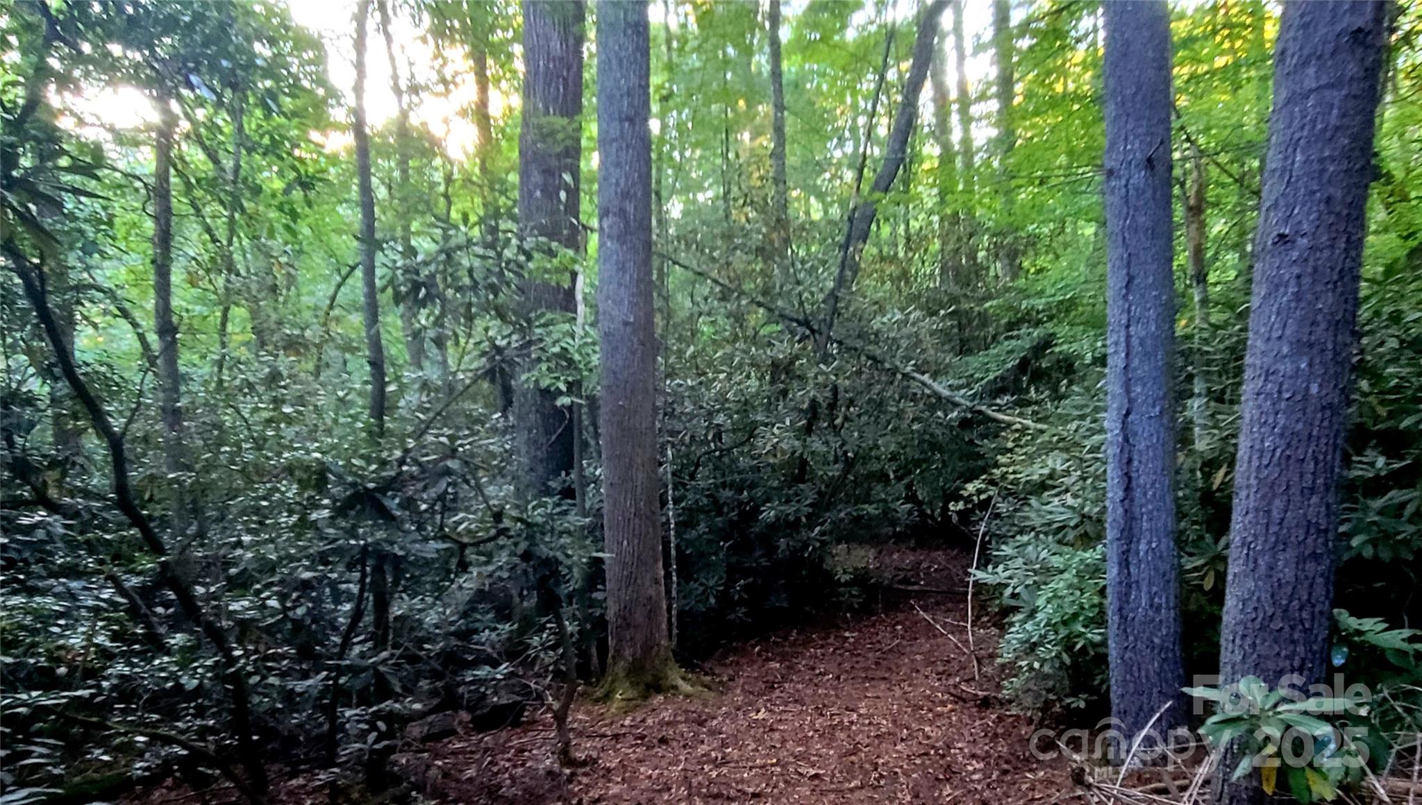 0 Joyful Lane Property Photo 8