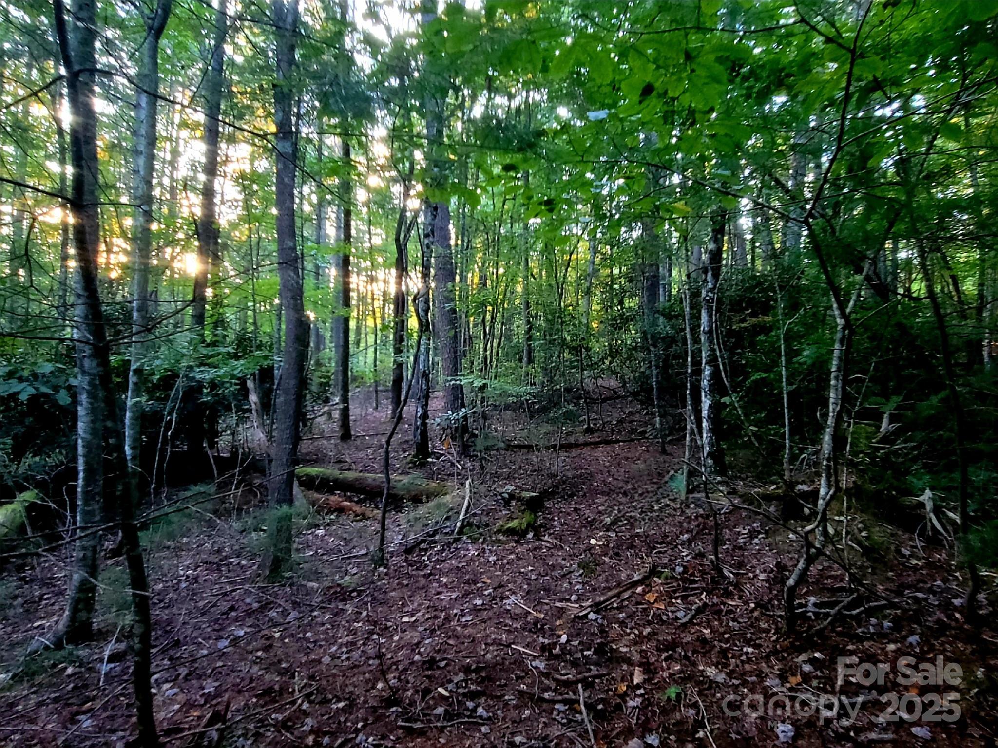 0 Joyful Lane Property Photo 9