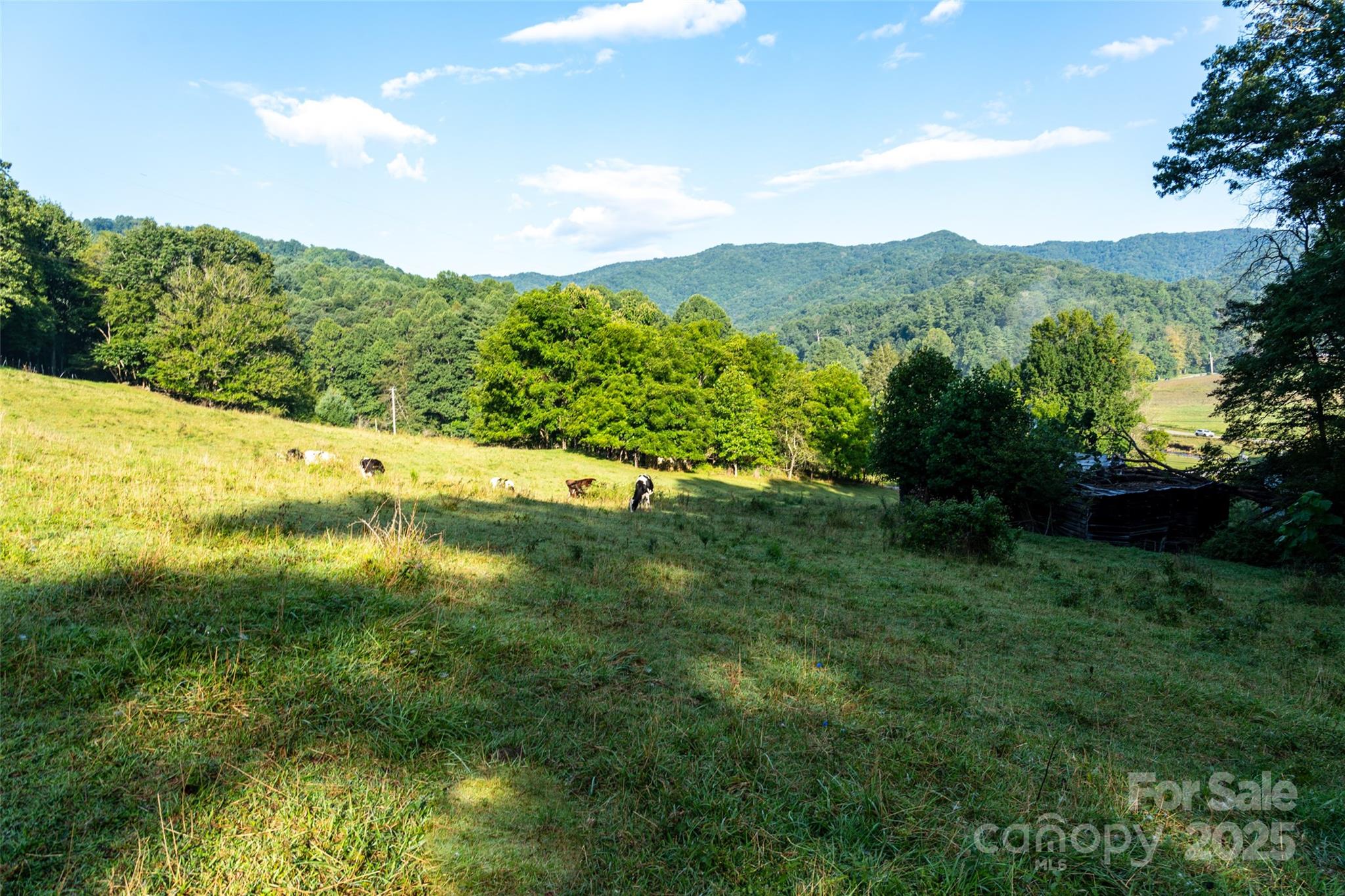 44 Jenkins Road Property Photo 11