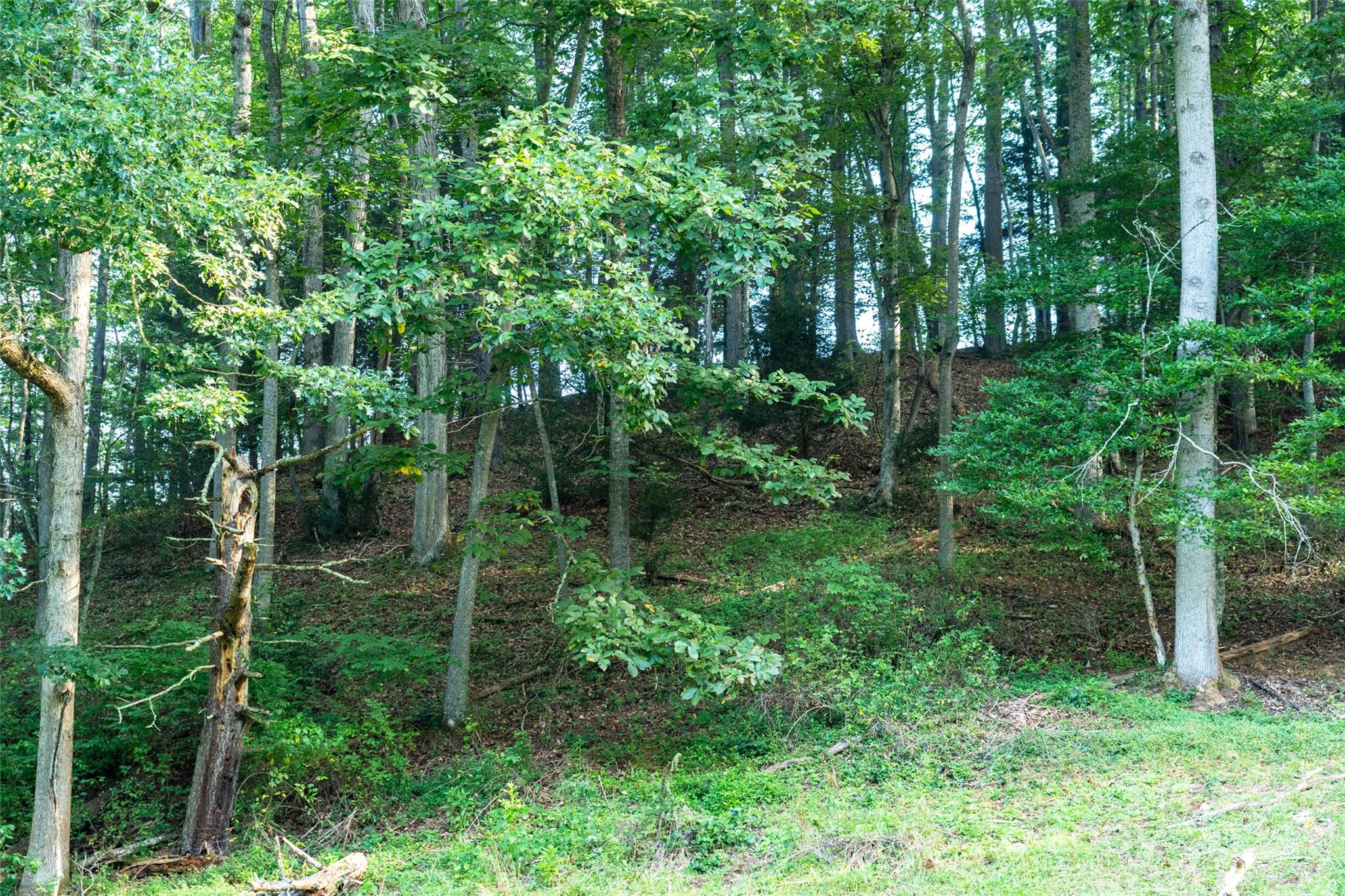 44 Jenkins Road Property Photo 25