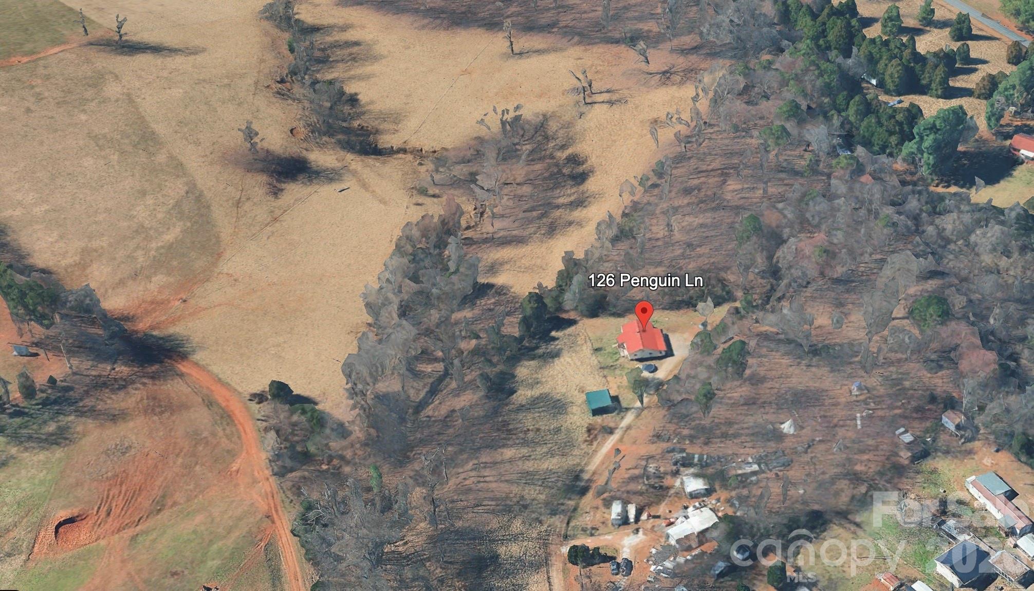 126 Penguin Lane Property Photo 14
