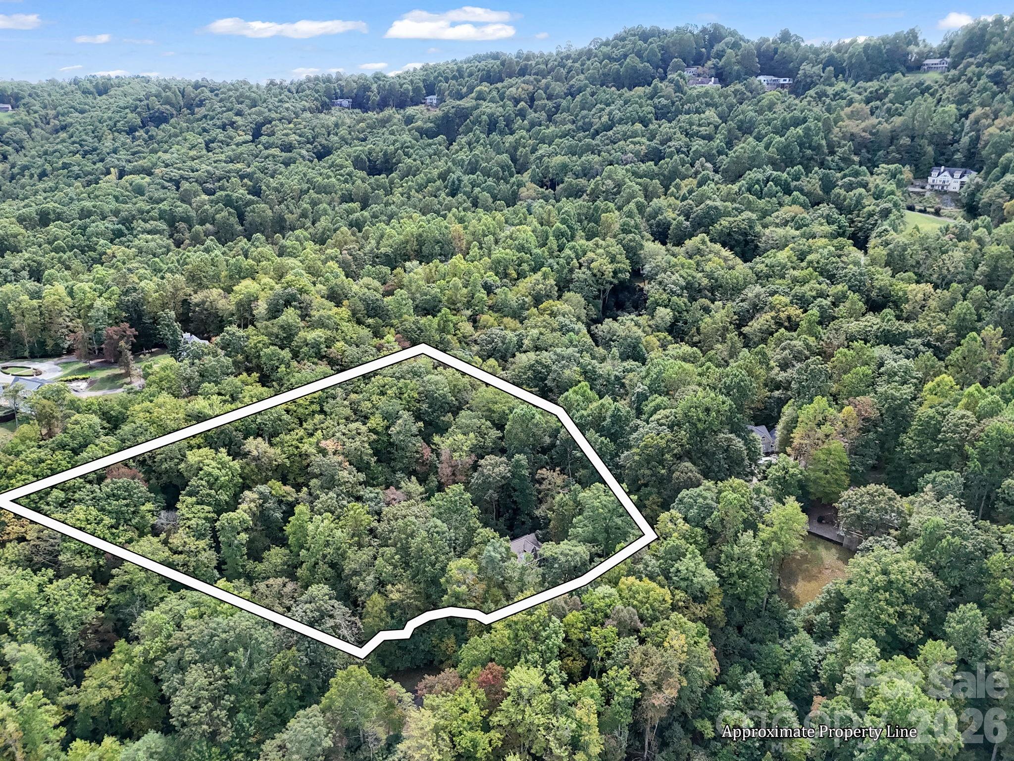 142 Winterview Trail Property Photo 7