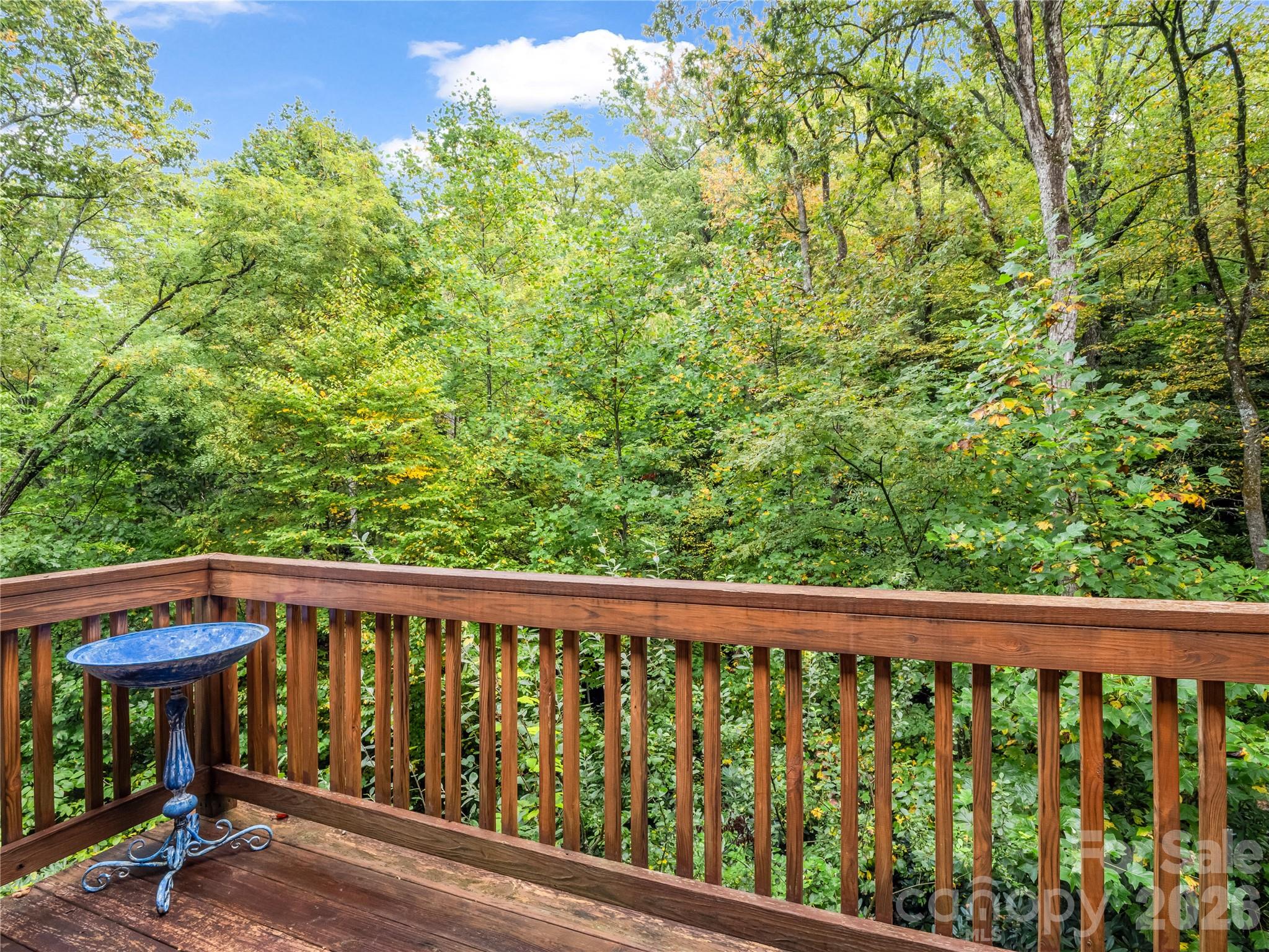 142 Winterview Trail Property Photo 17