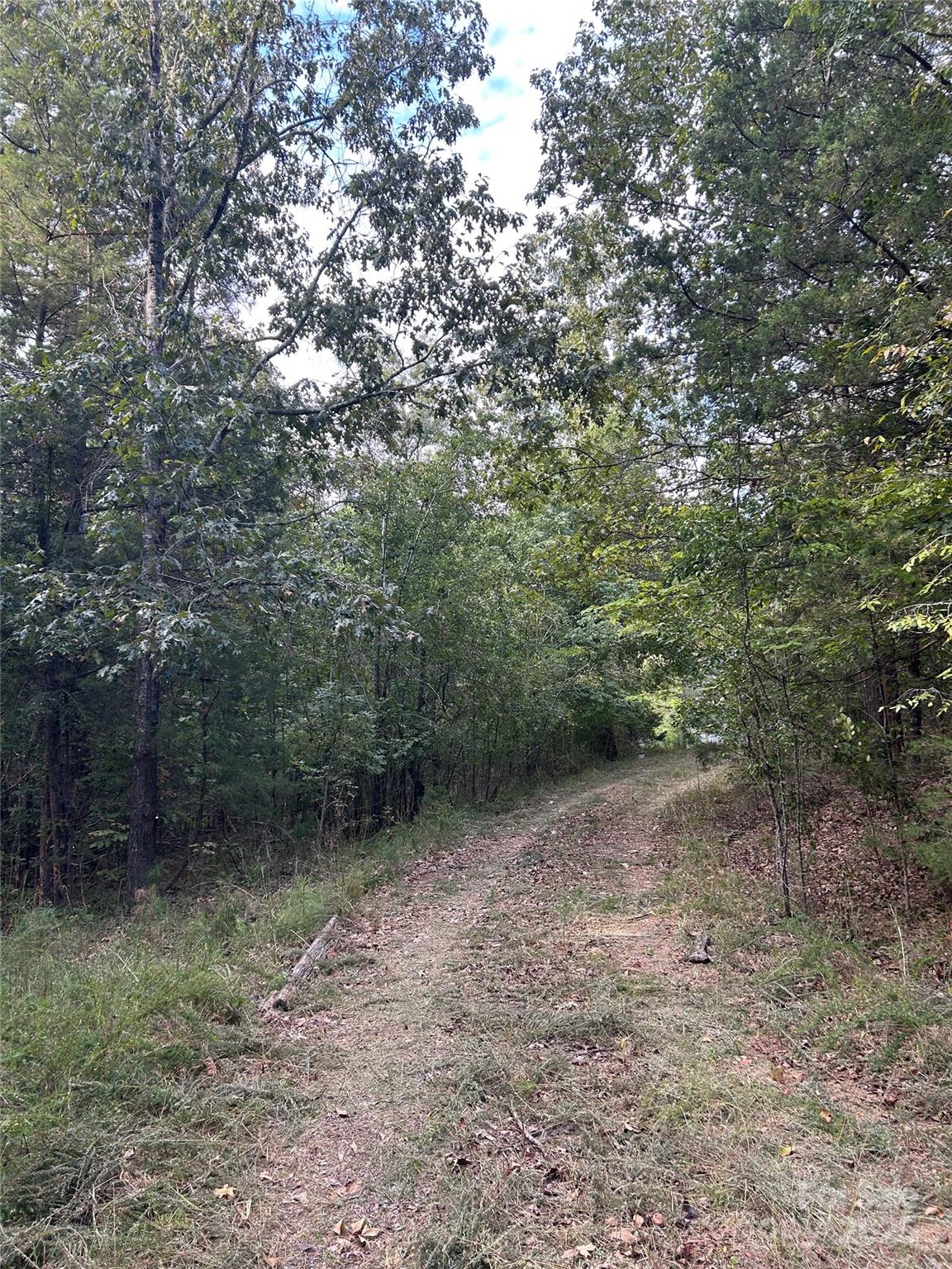 3485 Cedar Circle Road Property Photo 4