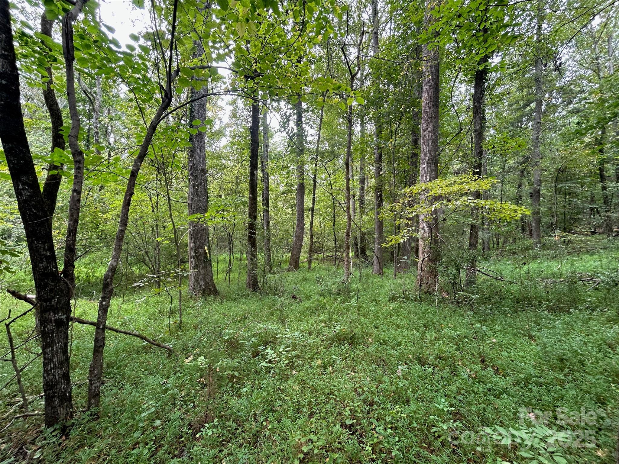 3485 Cedar Circle Road Property Photo 7