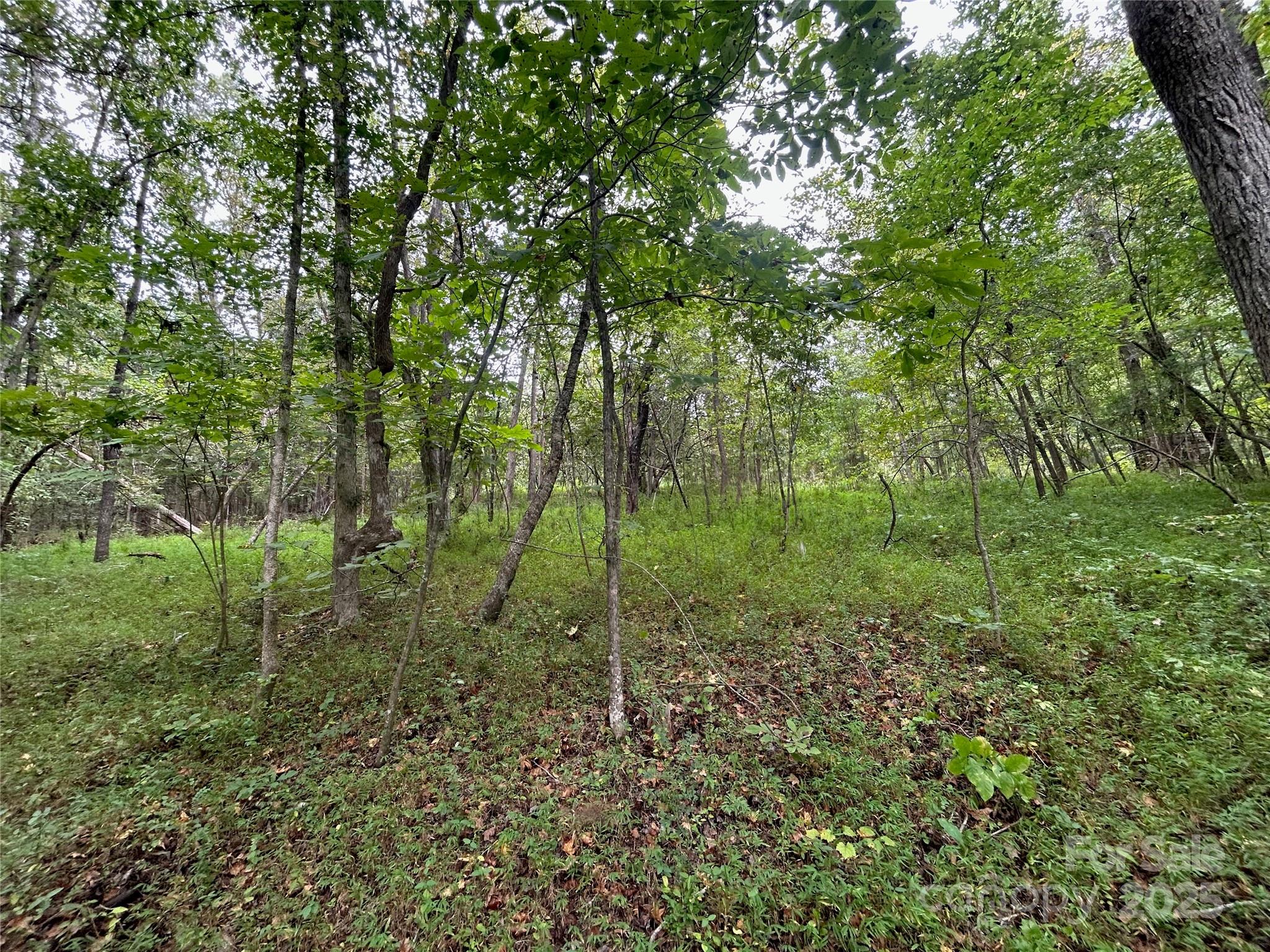 3485 Cedar Circle Road Property Photo 8