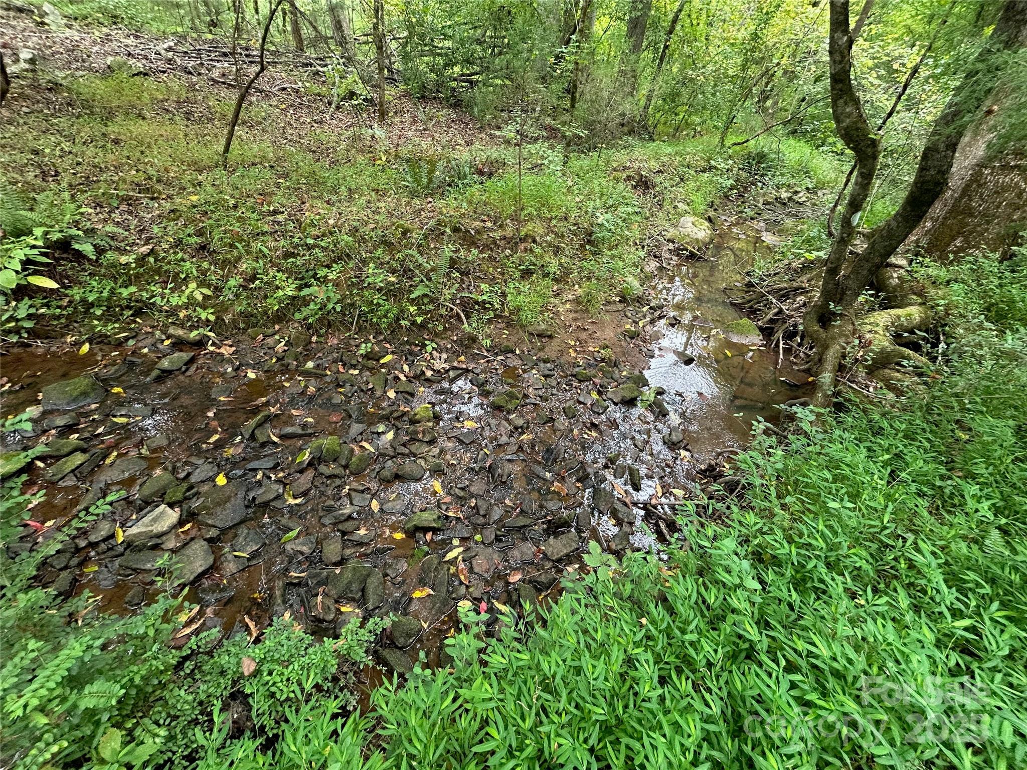 3485 Cedar Circle Road Property Photo 9