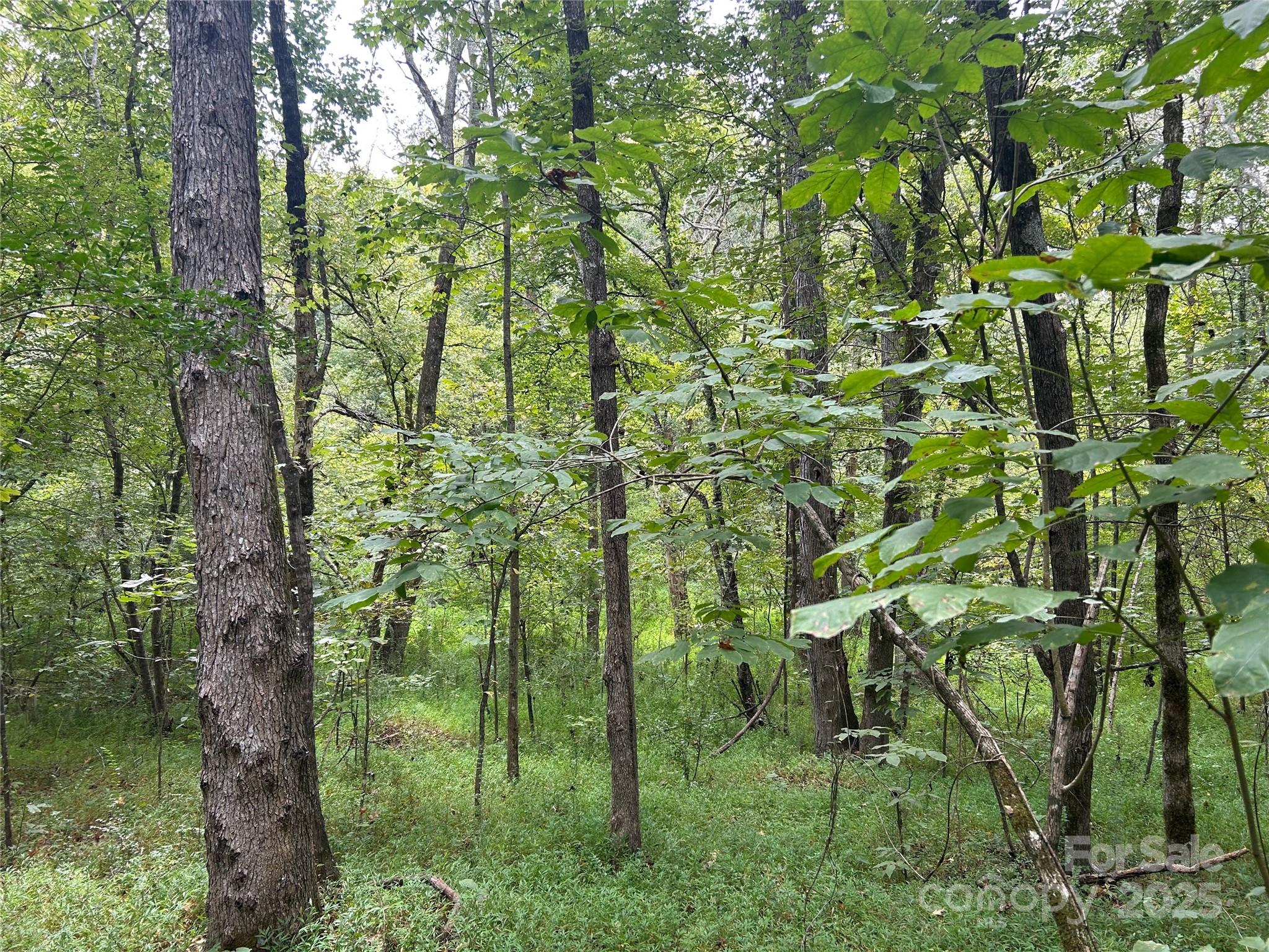 3485 Cedar Circle Road Property Photo 11