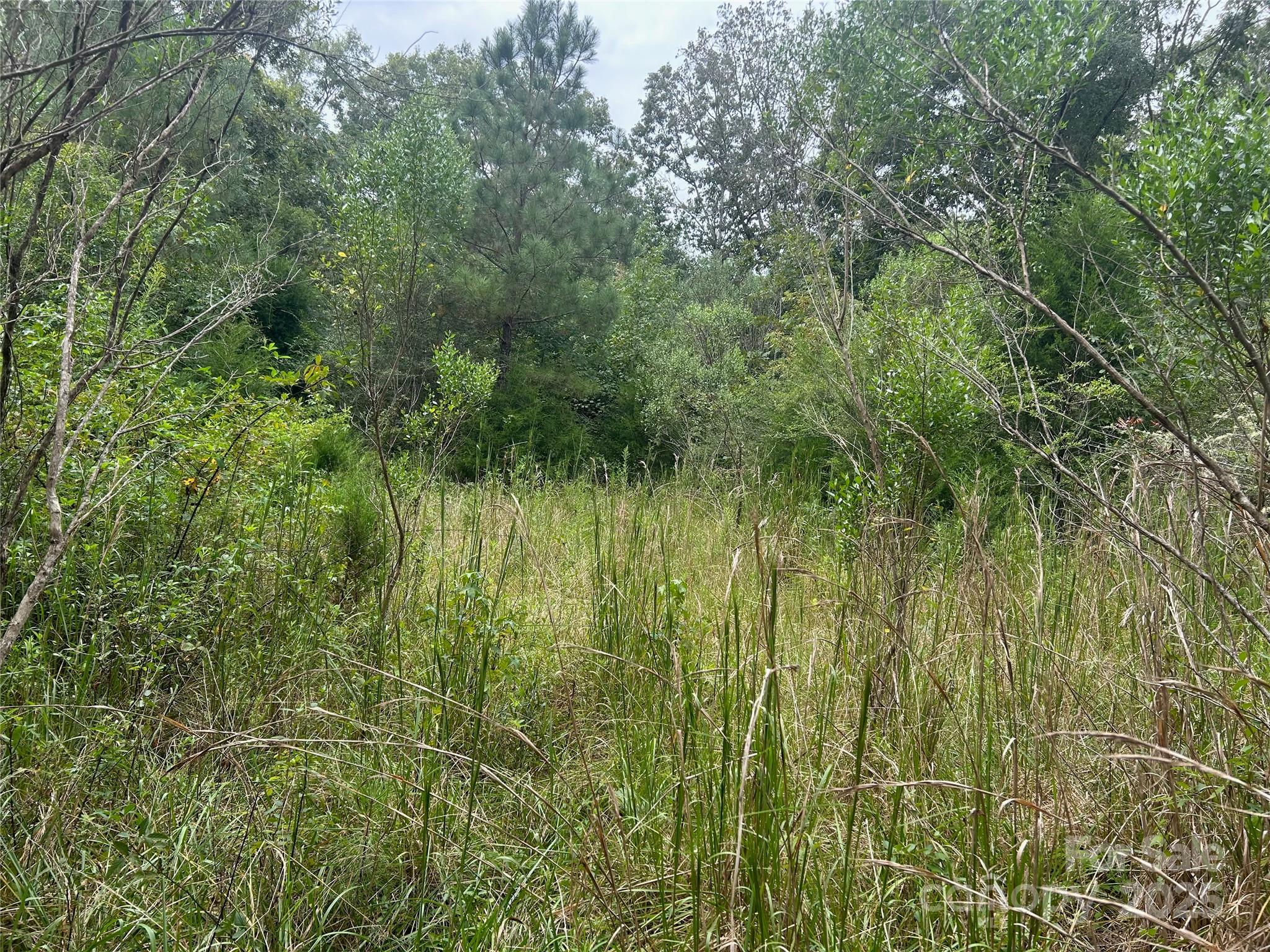 3485 Cedar Circle Road Property Photo 12