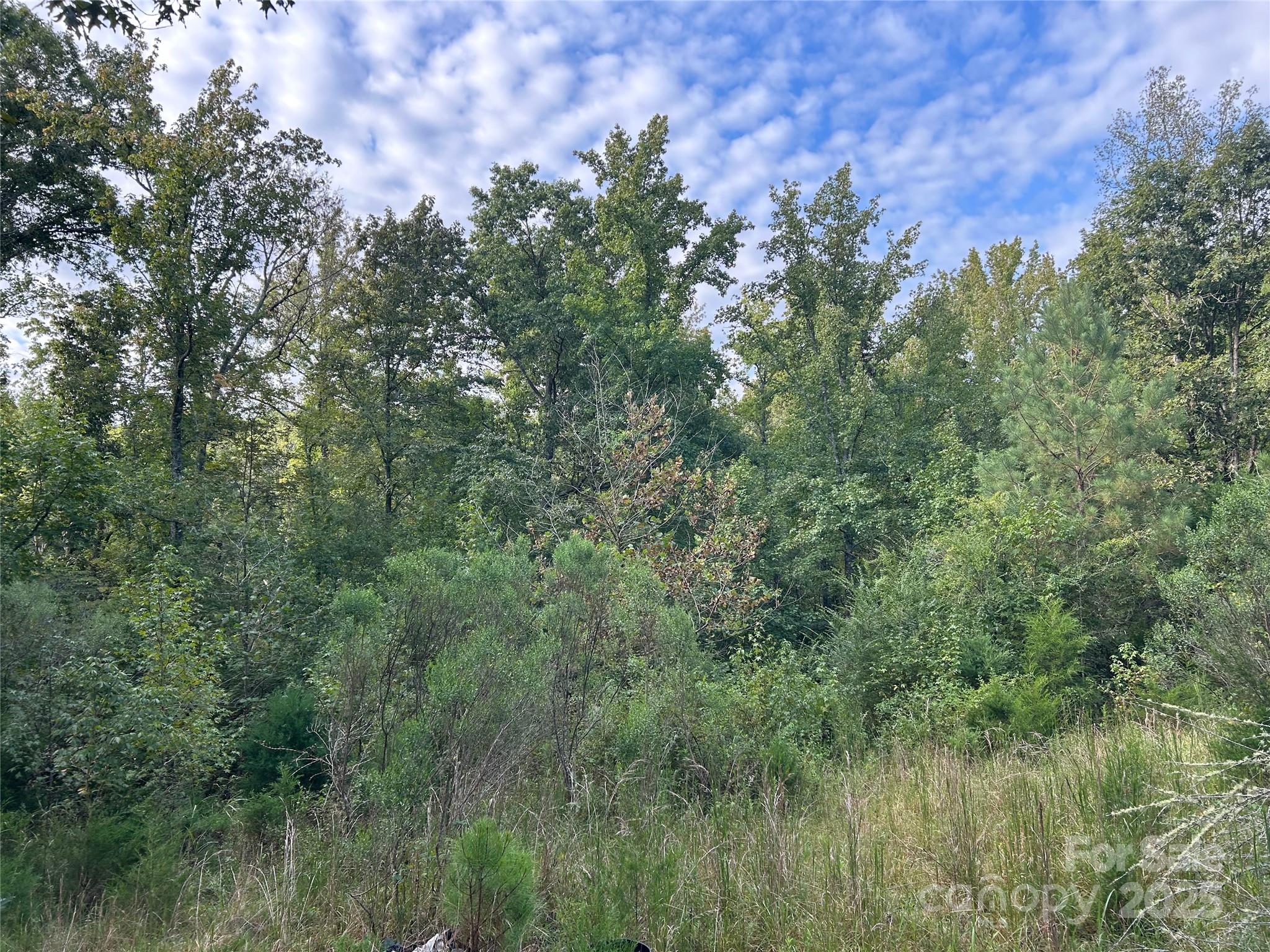 3485 Cedar Circle Road Property Photo 13