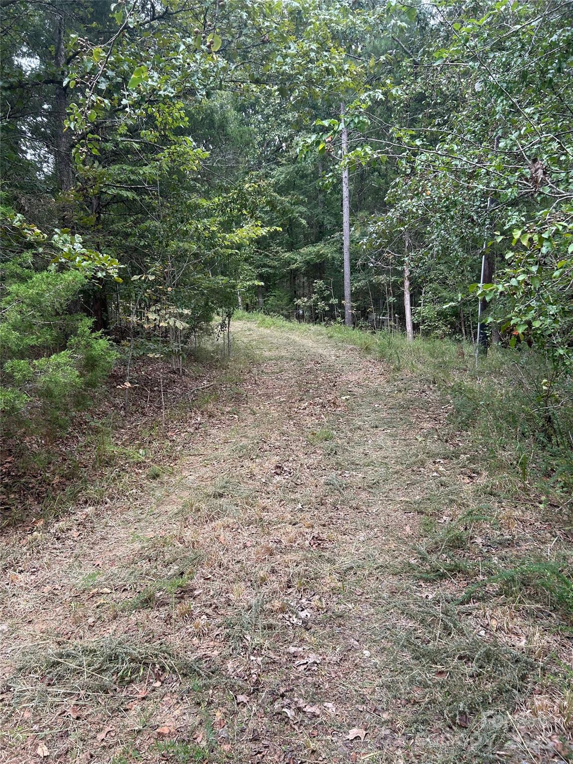 3485 Cedar Circle Road Property Photo 24