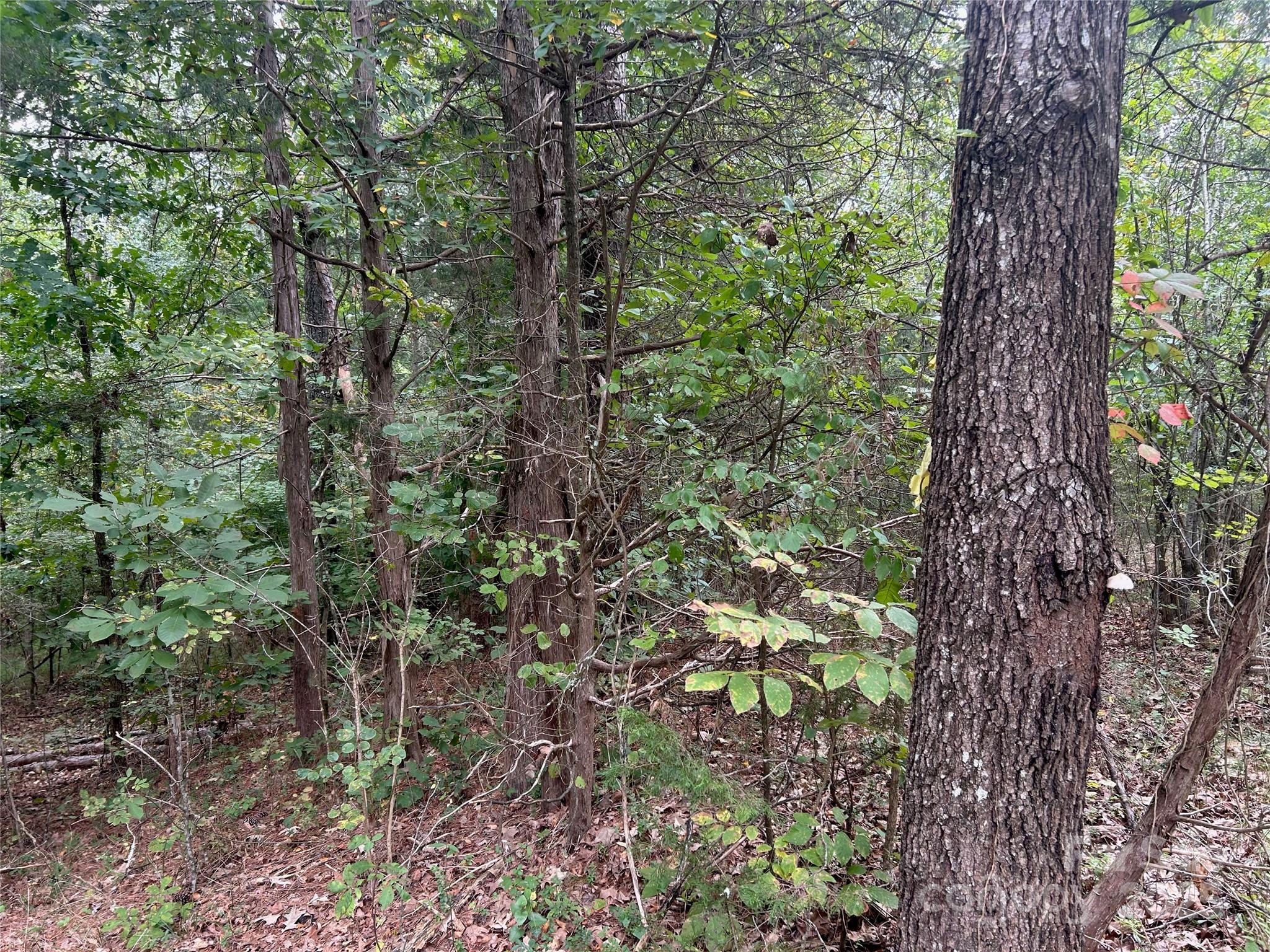 3485 Cedar Circle Road Property Photo 26