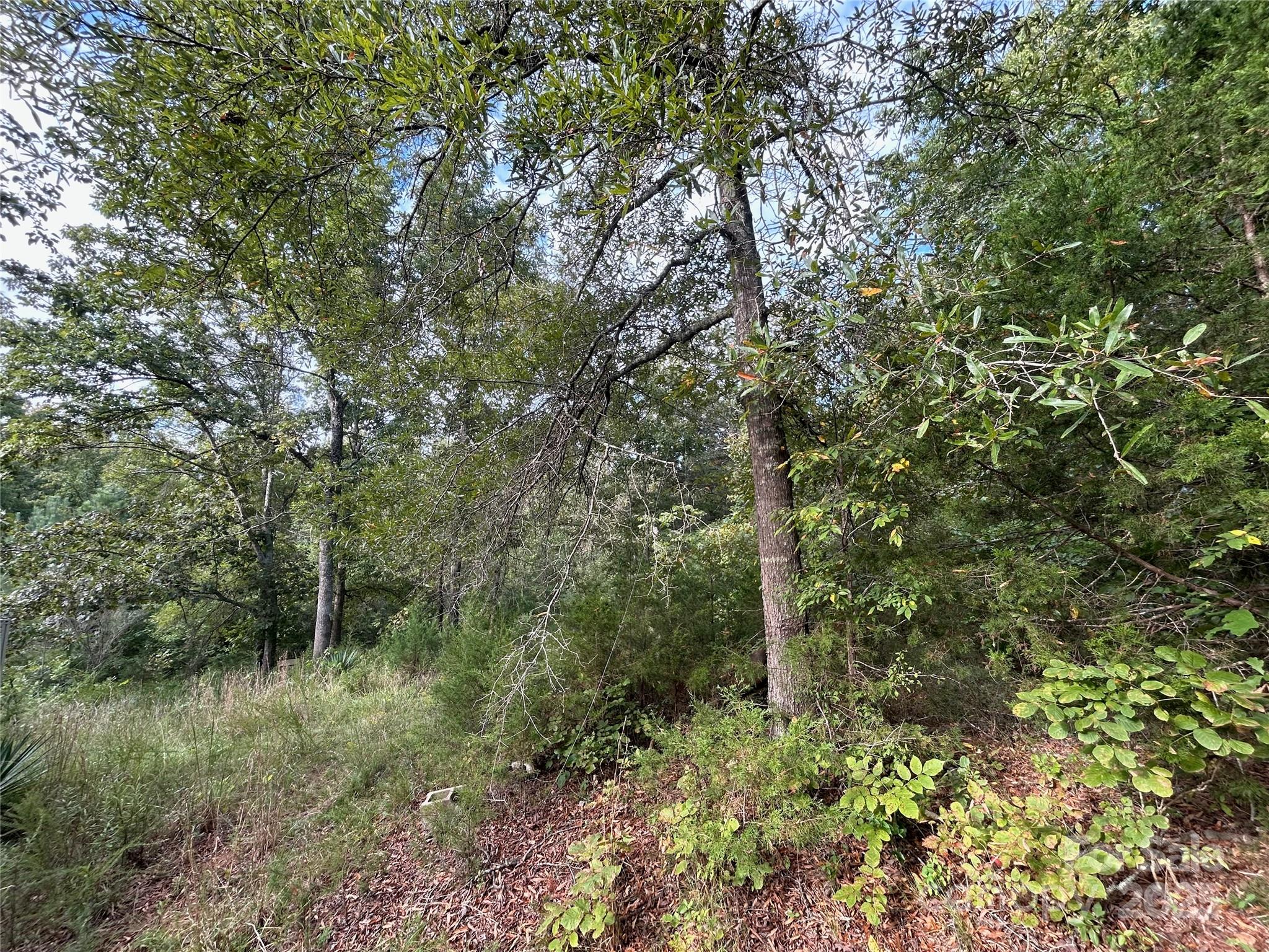 3485 Cedar Circle Road Property Photo 27
