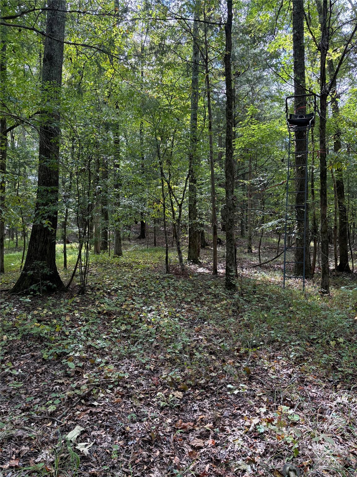 3485 Cedar Circle Road Property Photo 28